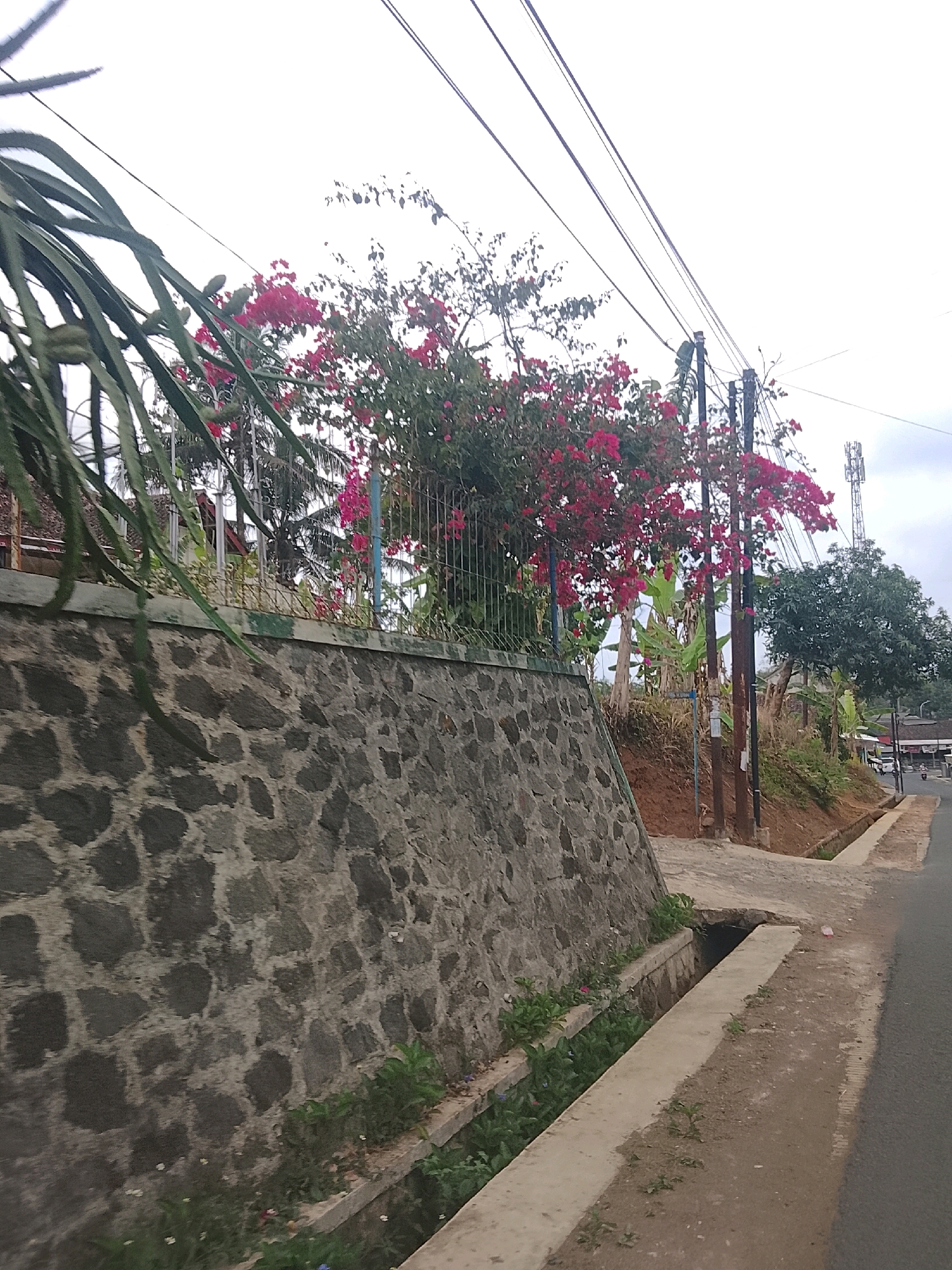 This image depicts a roadside scene in the city of Banjar, Indonesia, characterized by a stone retaining wall bordering a drainage ditch. Lush vegetation, including flowering plants with vibrant pink blossoms, is visible along the top of the wall. Banana trees and other tropical plants are also present, suggesting a warm climate. Utility poles and overhead power lines stretch across the frame, indicating the presence of infrastructure. In the distance, a telecommunications tower is observable, along with buildings and a road. The overall impression is one of a semi-urban or suburban environment with a mix of natural and man-made elements.