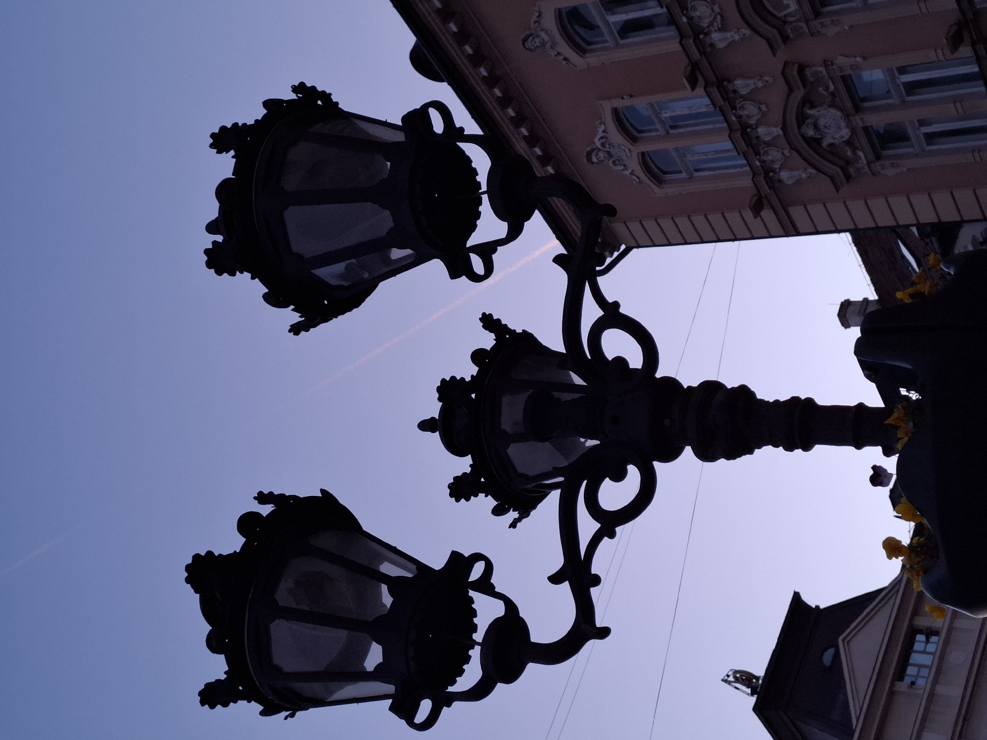 Captured from a low angle, the scene features ornate, old-fashioned lampposts silhouetted against a blue-tinged sky. The lampposts, with their intricate wrought-iron detailing and multi-lantern design, are the focal point. Adjacent to the lamppost are ornate building facades, indicative of European architecture. The image is likely from the city of Novi Sad, Serbia, known for its baroque architecture and historical street lighting. The lighting and angle suggest either dusk or dawn.