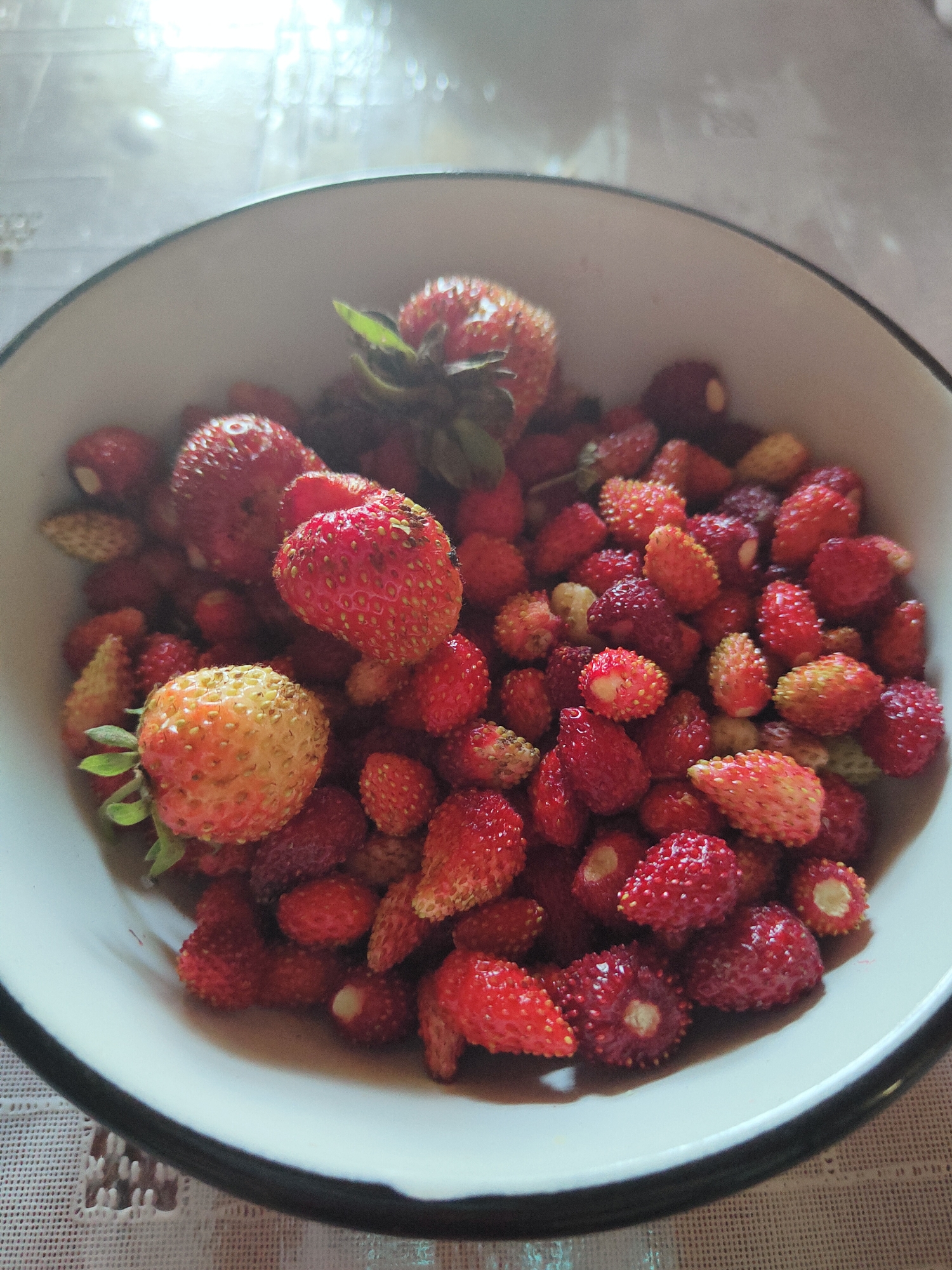 A white bowl filled with wild strawberries is placed on a textured surface. The bowl has a black rim and is overflowing with the red and yellow berries. Some strawberries are bright red, while others are a lighter pink or yellow, indicating varying stages of ripeness. The surface beneath the bowl appears to be a tablecloth with a woven pattern. The lighting suggests it is daytime, with light reflecting off the surface behind the bowl. The scene is simple and focuses on the harvested berries, implying a moment of collecting or preparing them. There is no visible text in the image.