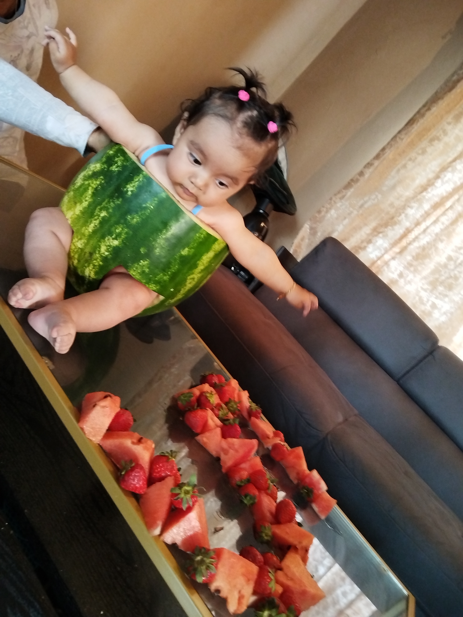An indoor, eye-level shot captures a baby dressed in a playful watermelon rind costume, supported by an adult's arm. The baby, with dark hair tied into two small pigtails with pink ties, wears blue elastic bands on their arms and gazes downwards with a curious expression. The large piece of watermelon rind forms a green, striped 'outfit' around the baby's torso, revealing chubby legs and feet.
An adult's arm, clad in a light-colored, long-sleeved garment, extends from the left, holding and supporting the baby. The baby appears to be positioned on a reflective surface, possibly a table or counter.
Below the baby, and extending into the foreground, is a display of fresh fruit. Cubed watermelon pieces and whole strawberries are artfully arranged, seemingly on skewers or a long platter, creating a vibrant red and green pattern.
In the mid-ground to the right, a dark gray or black sofa with distinct cushions is visible. The background features light-colored curtains, possibly textured or sheer, and what appears to be a dark lamp base or furniture piece near the baby's head. The overall scene suggests a playful and heartwarming moment, possibly a photo shoot or a casual family event. No text is visible in the image.