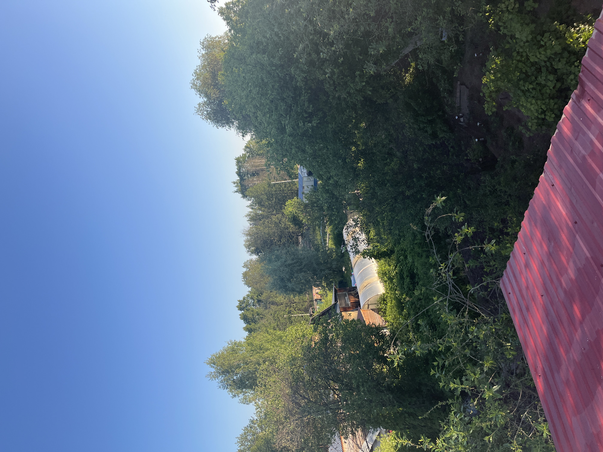 This is a high-angle, full-shot photograph taken in Chaikovsky, Russia, depicting a suburban or rural landscape during daylight. The sky is a clear, vibrant blue, suggesting fair weather. In the foreground, a red corrugated metal roof occupies the bottom portion of the frame.
Beyond the roof, the scene transitions into a densely vegetated area characterized by numerous trees and shrubs. Scattered within this greenery are various structures, including what appears to be a greenhouse with a transparent covering, a small wooden building with a slanted roof, and other less distinct buildings further in the background. The overall impression is one of a residential area surrounded by nature, possibly a dacha settlement or a rural home. The lighting suggests it could be morning or late afternoon, given the angle of the sun and the shadows cast. No people or animals are visible in the image.