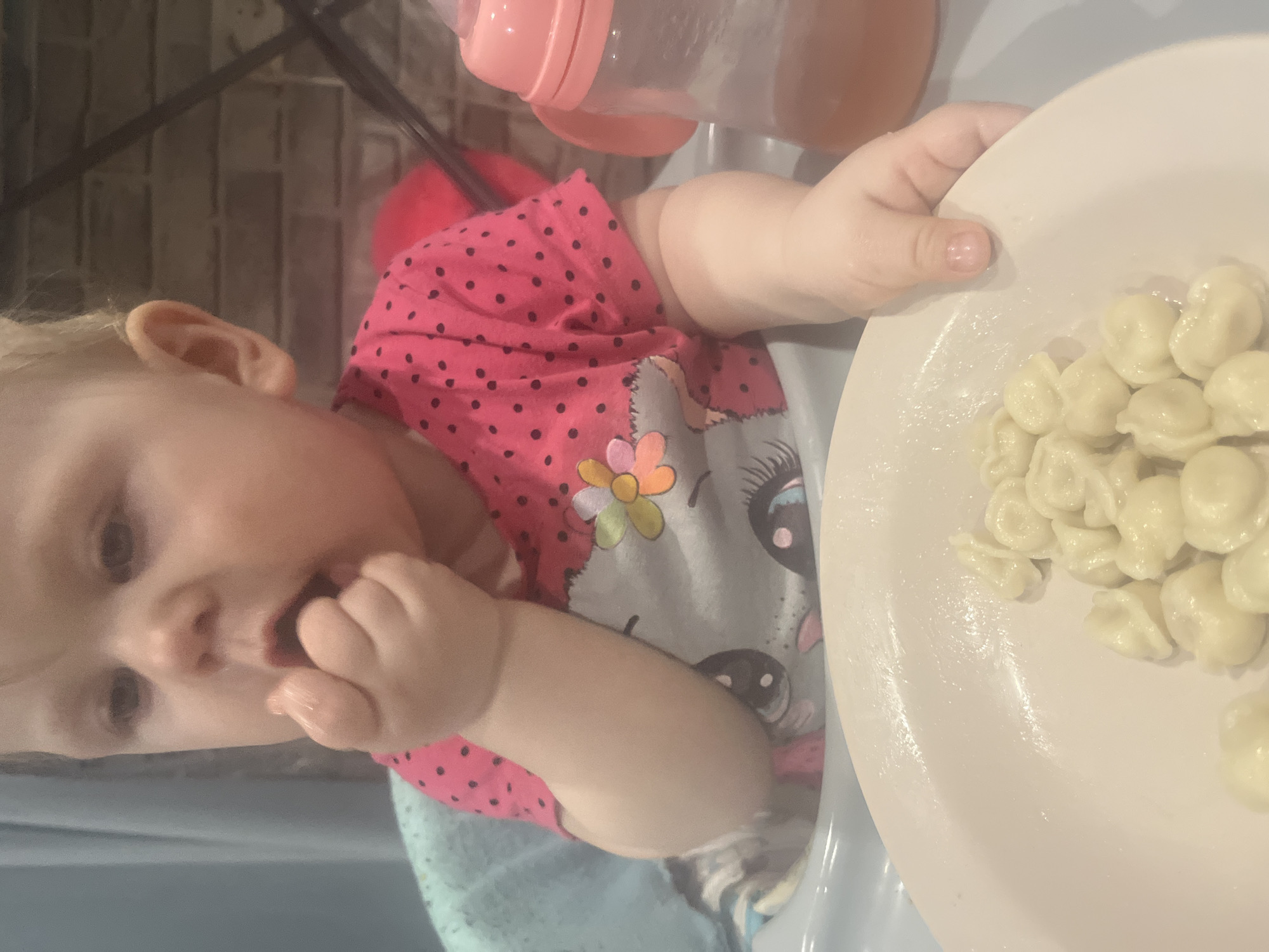A baby is sitting in a high chair and eating dumplings from a white plate. The baby is wearing a pink shirt with black polka dots and a grey cartoon cat graphic. A pink baby bottle is next to the baby. The location is not evident from the image.