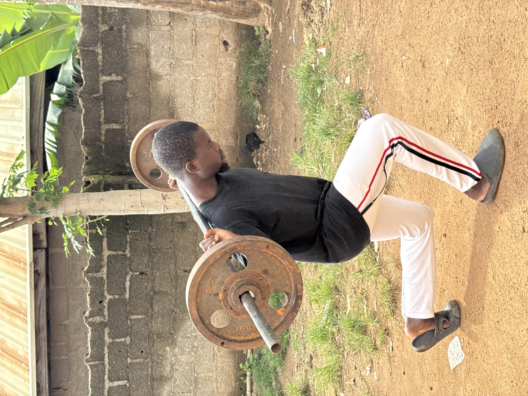 In Akwanga, Nigeria, a young Black man is performing a barbell lunge exercise outdoors. He is wearing a black t-shirt and white athletic pants with red and black stripes down the sides. He is also wearing dark-colored slide sandals. The barbell, loaded with two rusty metal plates, is resting across his upper back and shoulders. His left leg is forward in a lunge position, bent at the knee, while his right leg is extended behind him. He is looking down towards his left foot. The environment is a dusty, unpaved area with patches of dry grass and some scattered debris. In the background, a weathered brick wall is visible, topped with a corrugated metal roof. There are trees and large green banana leaves to the right and left of the man. A small black chicken is visible in the background near the brick wall.