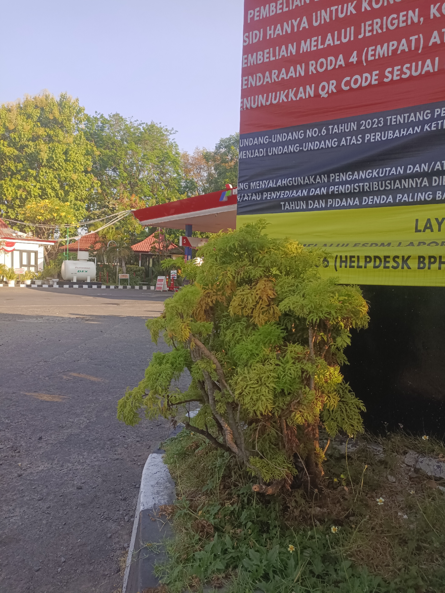 The image depicts a street scene at a gas station in Surabaya, Indonesia. In the foreground, a lush green bush with some yellowing leaves occupies the lower right quadrant. Behind it, a paved road is visible, leading towards the gas station. The gas station itself features a red-roofed structure with pumps. A white fuel tank labeled "PERTAMINA DEX" is also present. A large banner with red and black text, possibly advertising regulations or information, is prominently displayed. In the background, trees with green foliage suggest an outdoor setting. The sky is a clear, pale blue. The overall impression is a typical day at a gas station in an urban or suburban area of Surabaya.