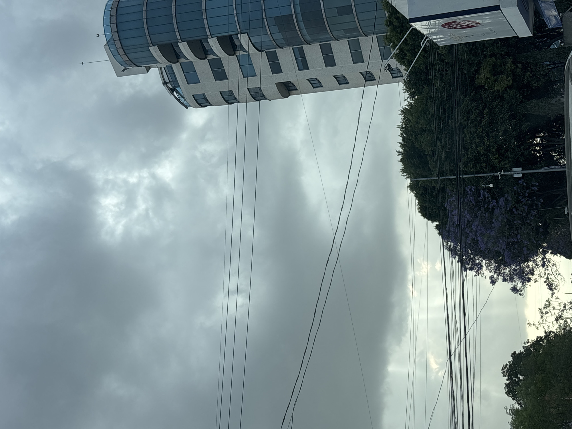 The image depicts a cityscape under an overcast sky in Puebla, Mexico. A modern, curved building with many windows is visible in the upper left corner. A large, leafy tree with purple flowers and a white sign are on the right. Power lines stretch across the frame, obscuring parts of the view.