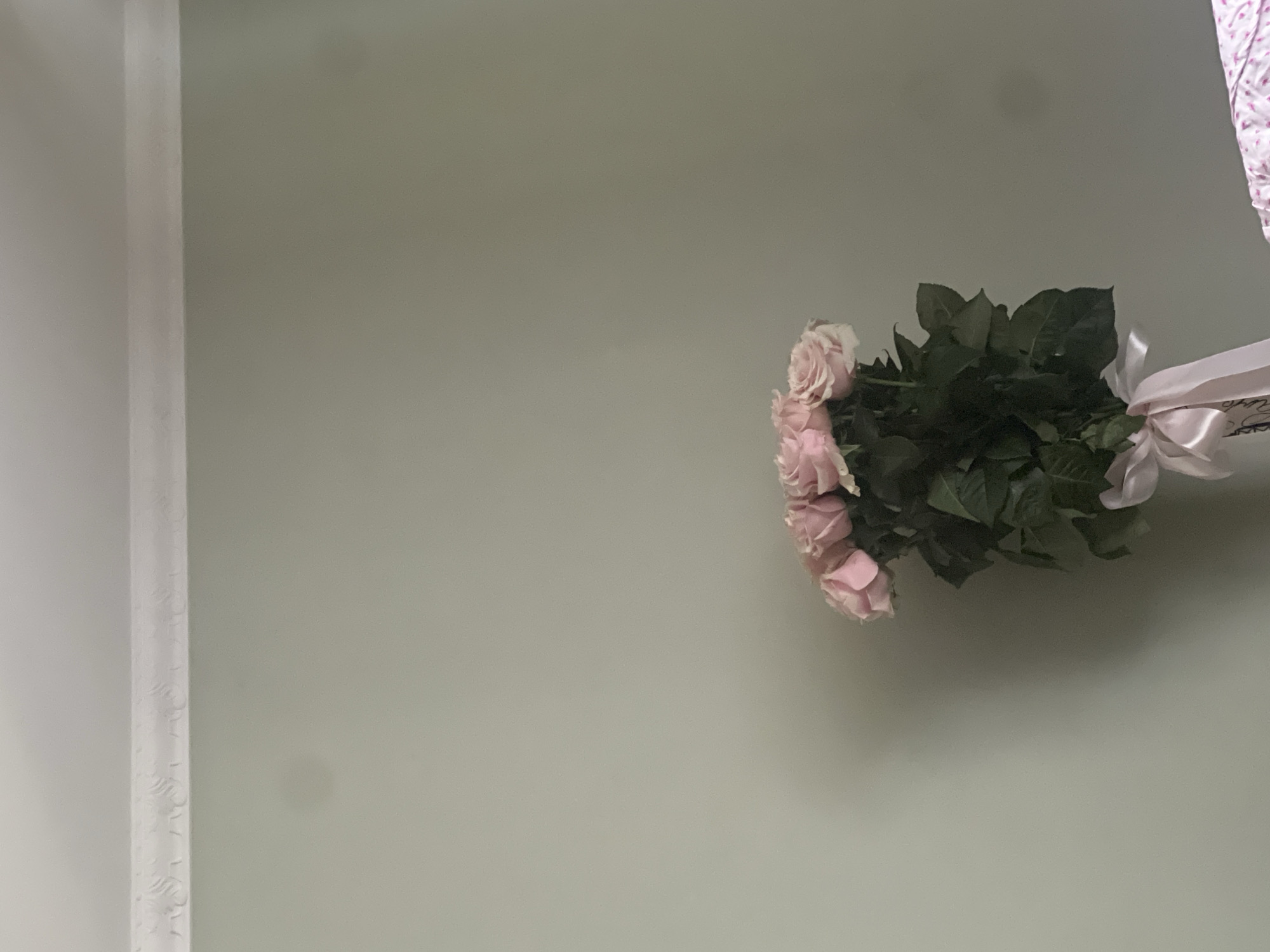 A bouquet of pink roses with green leaves is tied with a pale pink ribbon and placed in front of a pale green wall with decorative molding at the top. There are faint circular shadows on the wall above the roses. The scene appears to be indoors, likely in a residential setting within the city of Ust-Chorna, Ukraine.