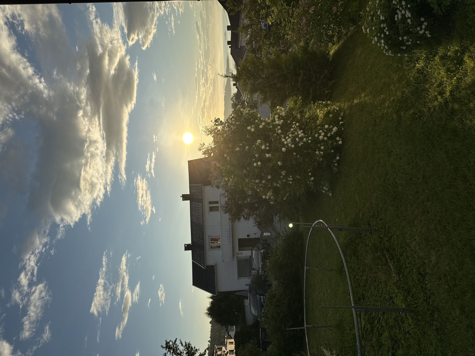 The image depicts a residential scene in the city of Harstad, Norway, bathed in the warm glow of sunset. In the foreground, a lush green lawn is partially enclosed by a circular metal structure. Beyond the lawn, a two-story white house with a dark roof stands prominently. The house features a balcony on the upper level and a red curtain visible through one of its windows. Several vehicles are parked in front of the house, including two dark-colored cars. The area is surrounded by dense green vegetation, including a large bush laden with white flowers and several evergreen trees. In the background, more houses and trees are visible, leading to a body of water and a distant coastline under a sky filled with dramatic clouds illuminated by the setting sun. The overall impression is one of a peaceful, suburban evening in Harstad.