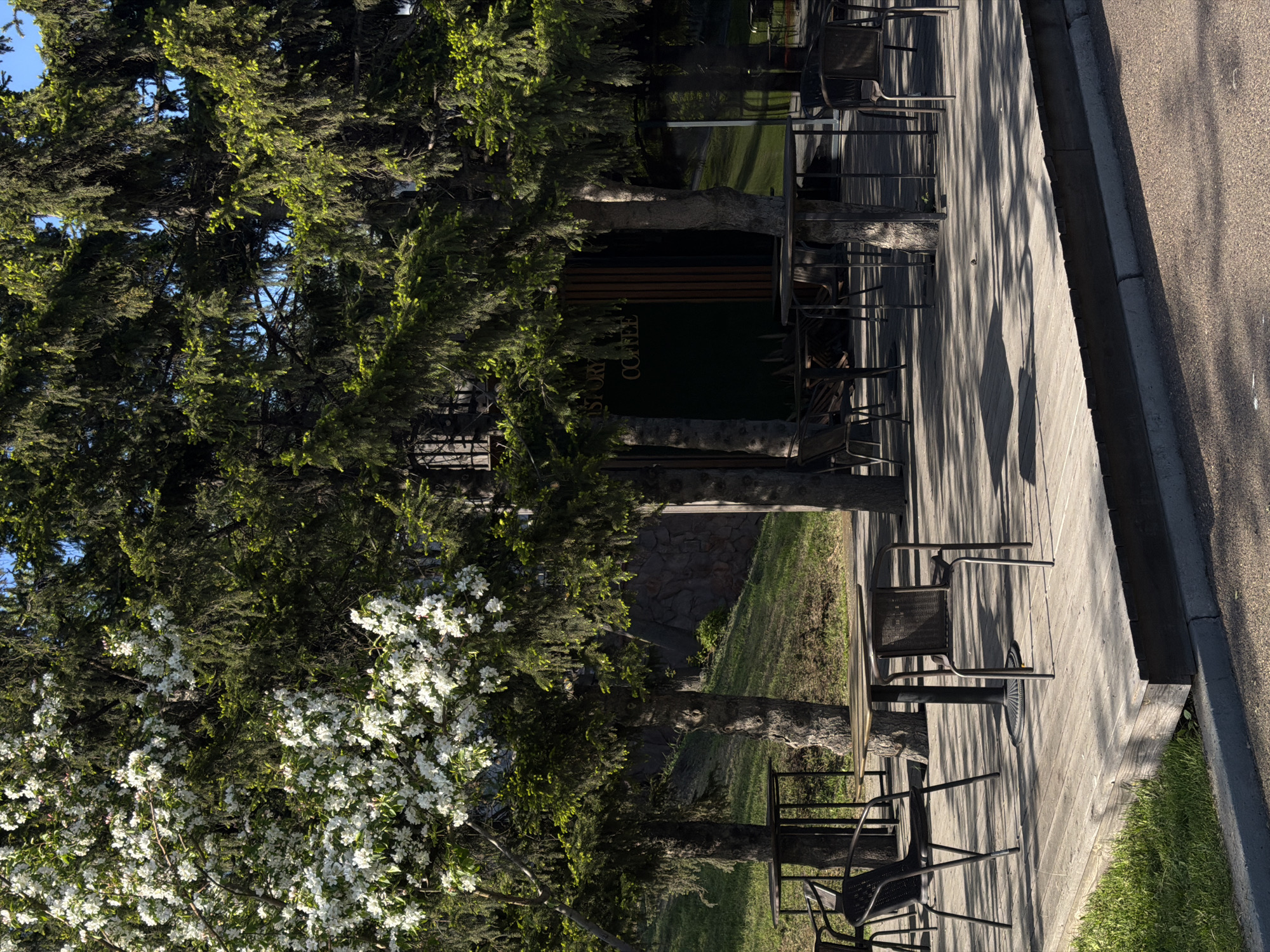 The image shows an outdoor seating area of a café, possibly located in Krasnoyarsk, Russia. The scene is composed of metal chairs and tables arranged on a wooden deck, partially shaded by trees. A road runs adjacent to the deck on one side, with a curb separating the two. The trees are green, with some branches displaying white blossoms. A sign reading "HISTORY COFFEE" is visible in the background. The picture shows no people or signs of activity.