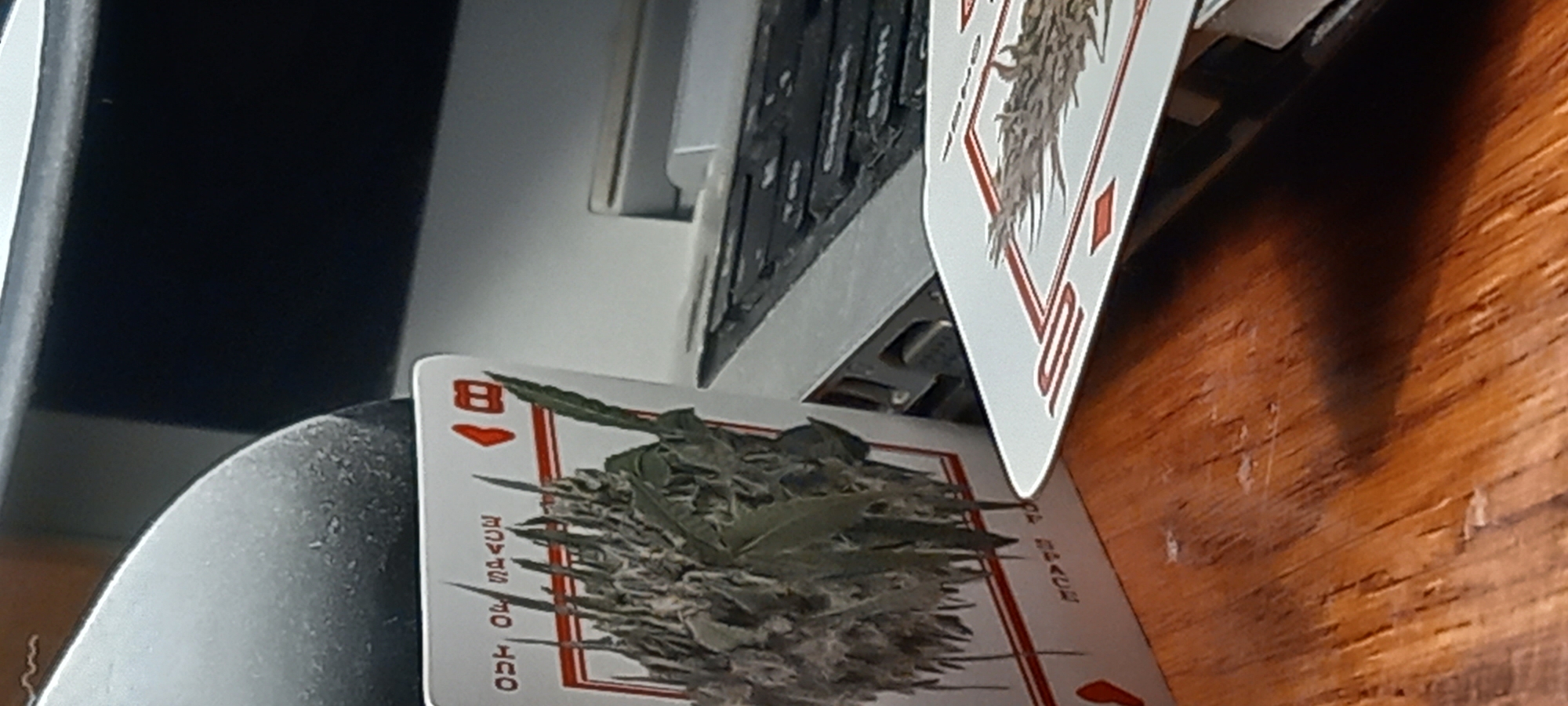 This indoor image, rotated 90 degrees clockwise, presents a close-up view of several objects on a surface. In the foreground, an eight of hearts playing card lies horizontally, bearing a prominent cluster of green plant material resembling cannabis buds and leaves. The text "OUT OF SPACE" is visibly printed vertically along the left border of this card.
Behind the eight of hearts, another playing card is partially visible, standing upright, displaying an intricate design with brown and red patterns. To the immediate left of the first card, a dark, rounded object, possibly metallic and showing signs of dust or particles, is partially in view.
Further into the background, a section of a dark electronic device, likely a laptop keyboard, is visible with several keys or buttons. The surface beneath and to the right of the objects is a light brown wooden texture, suggesting a table or desk. The overall lighting is ambient, indicating an indoor environment. There are no individuals present, and no specific time of day can be determined. While the context of Kryvyi Rih, Ukraine, is provided, there are no discernible visual cues within the image itself to confirm this location.