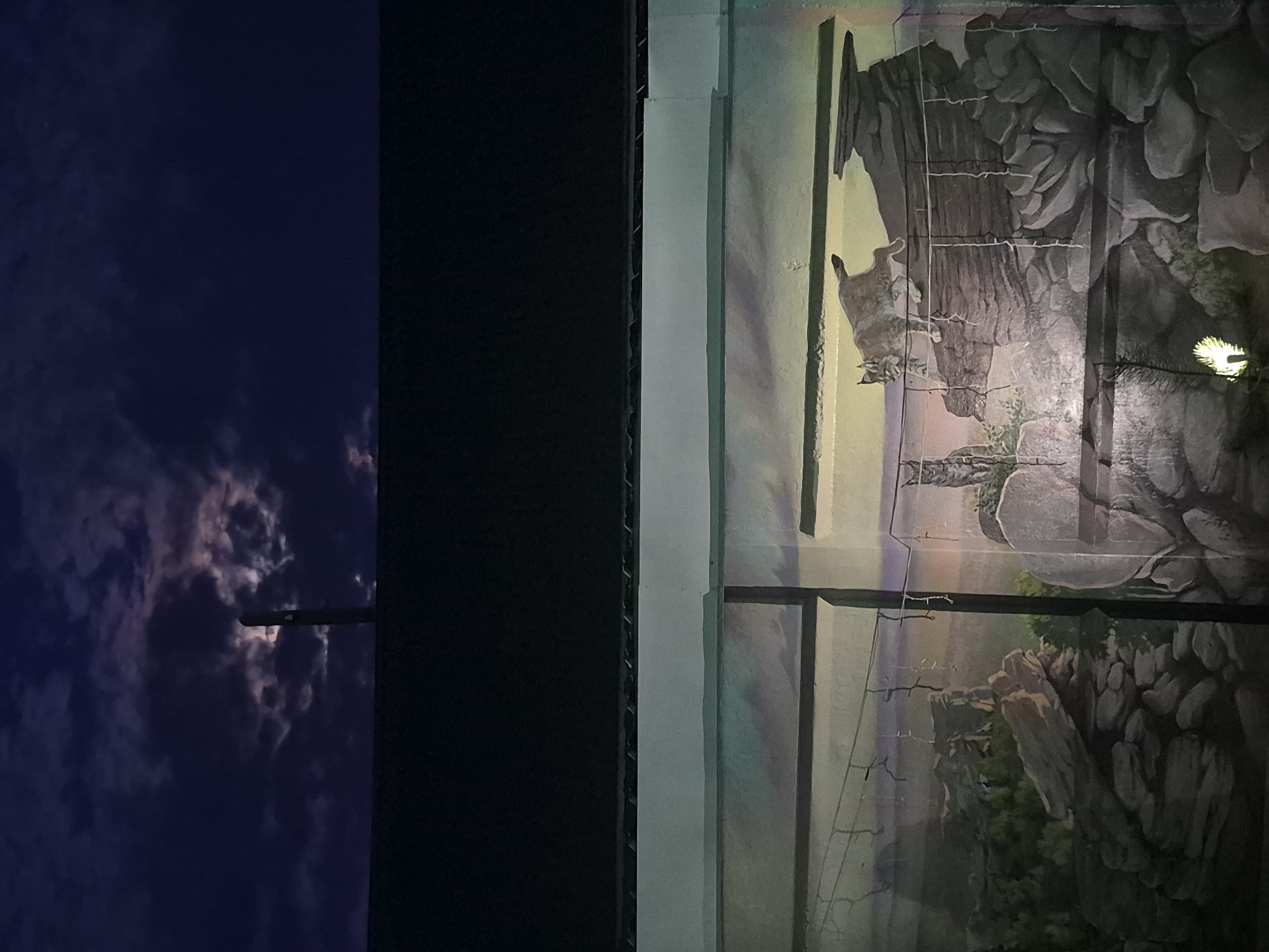 The image presents a juxtaposition of two distinct scenes. On the left, a dark, bluish-purple night sky is partially obscured by clouds. A portion of a black, vertical structure is visible on the right side of this section. To the right of this, another vertical structure is present, featuring a mural depicting a landscape with a wild cat. The mural shows a rocky terrain, painted in shades of grey, green, and brown, with a lynx-like animal positioned on the upper part of the rocks. Some bars of the structure are running vertically through the mural. The city and exact location are Unknown.