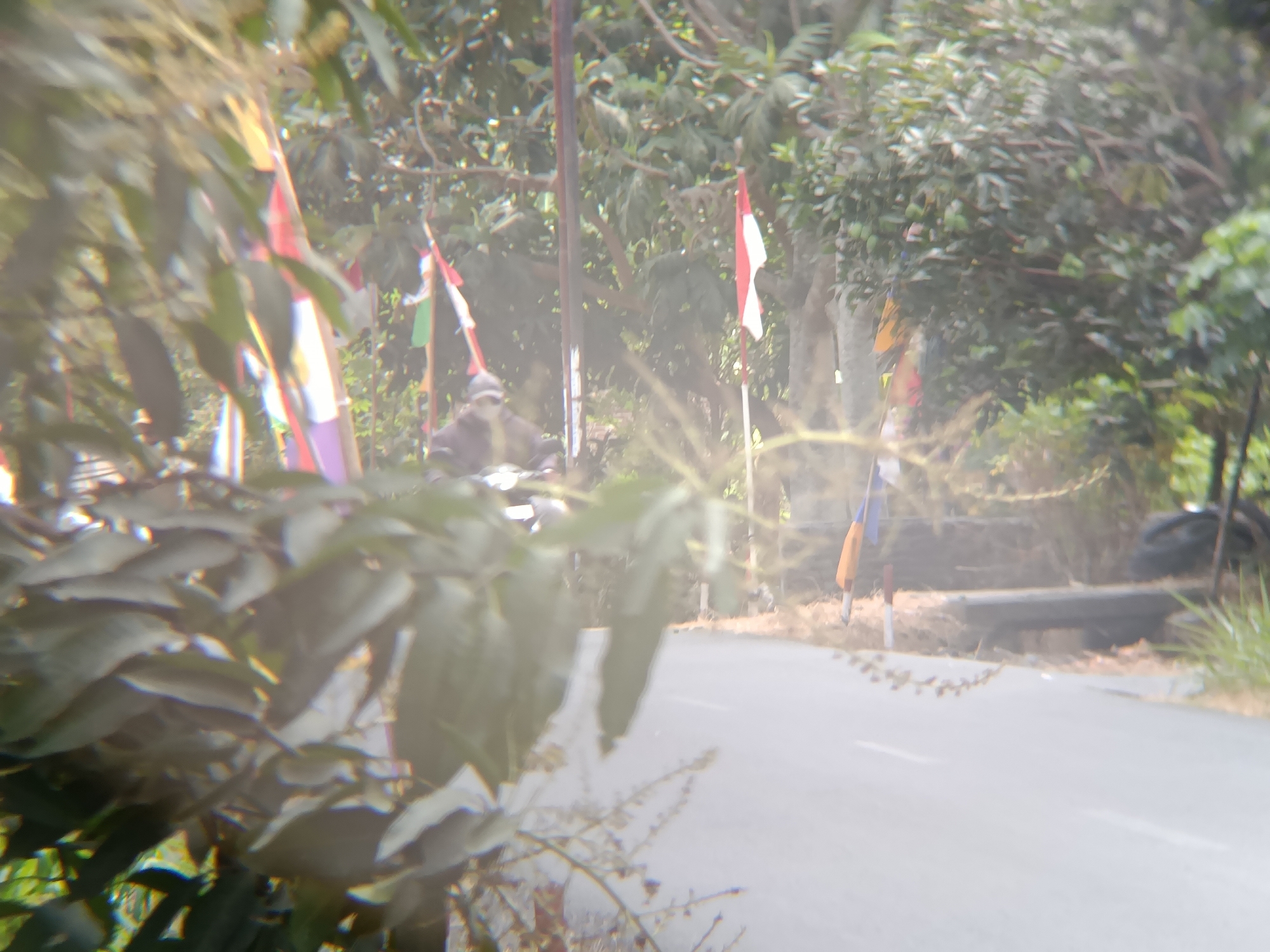 The image captures a scene along a road in Sarwadadi, Indonesia, likely during daytime with sunlight filtering through foliage. In the foreground, out-of-focus green leaves dominate the left side of the frame.
Further into the scene, several small flags are visible, predominantly red and white, which are the colors of the Indonesian flag. These flags are mounted on poles and appear to be positioned along the roadside, suggesting a celebration or a patriotic display. One flag, clearly red and white, is on a white pole. Another flag, with vertical stripes of red, white, and purple, is also present. Further in the background, a flag with orange and blue horizontal stripes can be seen.
A person is partially visible in the middle ground, seated on what appears to be a motorcycle. They are wearing dark clothing and a hat. The motorcycle is facing towards the right side of the image.
The environment is characterized by trees and vegetation, indicating a somewhat rural or suburban setting. A paved road runs through the scene, curving slightly to the right. The road surface appears to be asphalt, with a white line marking its edge on the left side. The background consists of more trees and some dry grass. The overall image is slightly blurred, particularly in the foreground, and exhibits lens flare, possibly from the sun.