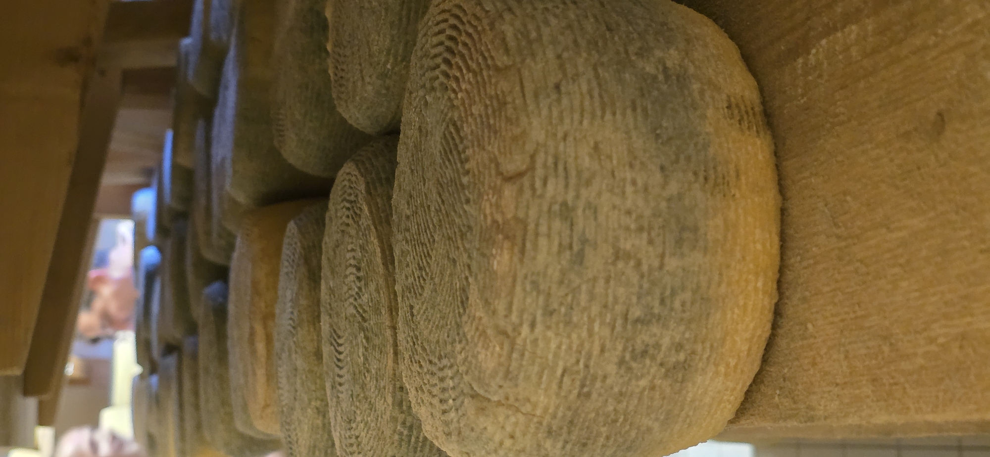 This image shows a row of ripening cheese wheels stacked on wooden shelves. The cheeses appear to have a natural rind with a textured surface. The location is Blinisht, Albania, indicated by additional context. No people are prominently visible in the frame. The cheese wheels rest on the bare wood of the shelving system. The lighting is somewhat subdued, likely within a cellar or cheese aging facility.