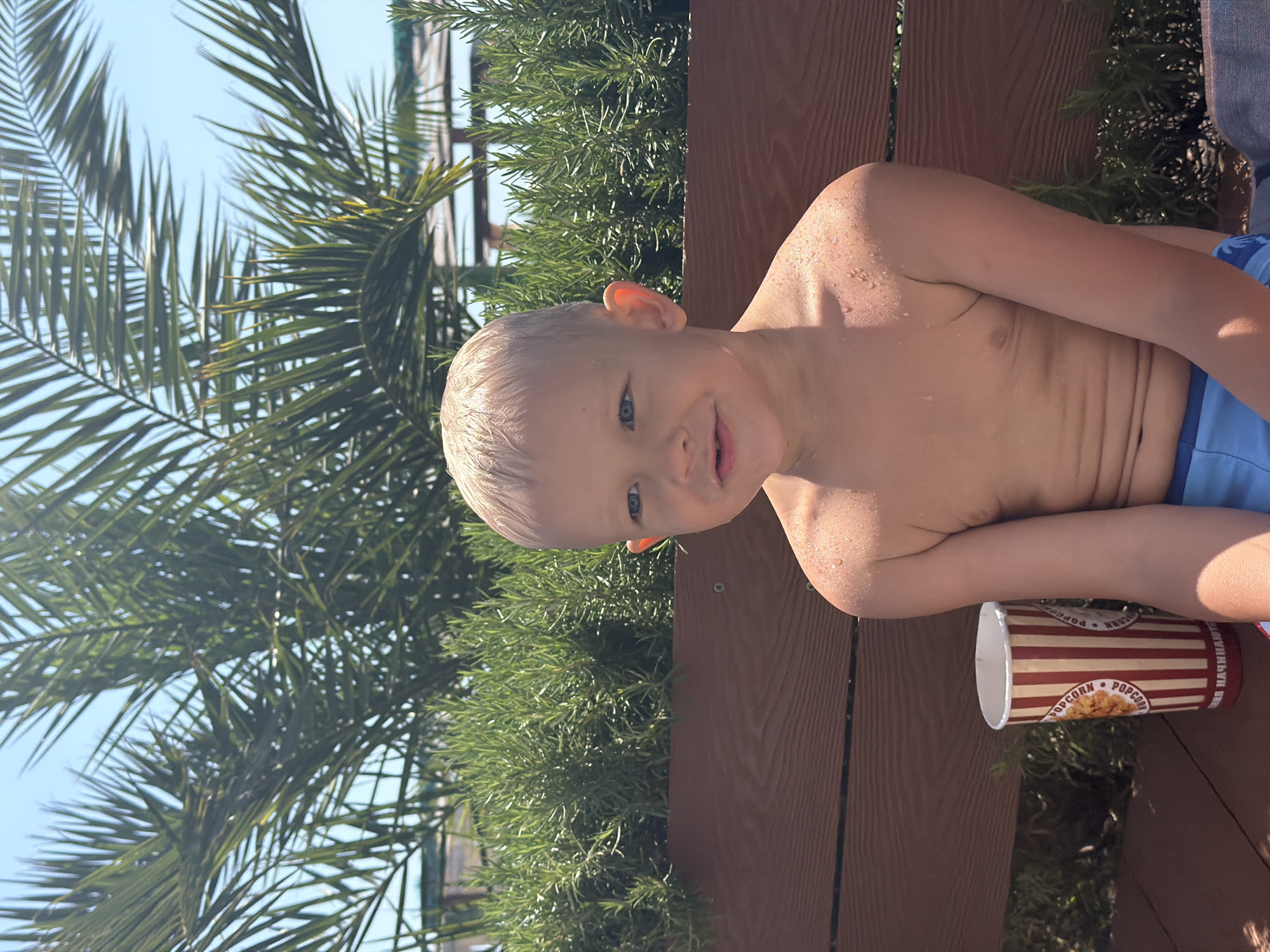 This media file shows a young boy with wet hair and skin, indicating he has recently been in water. He is wearing blue swim trunks. The boy is sitting on a wooden bench, with lush green foliage and palm fronds in the background, suggesting an outdoor, possibly tropical or subtropical, setting. The sky is clear and blue, indicating a sunny day, likely during daylight hours.
Next to the boy on the bench is a paper cup with red and white stripes, which has the word "POPCORN" printed on it multiple times. The cup is partially filled with popcorn. The overall mood appears relaxed and cheerful, with the boy smiling at the camera.
The presence of palm trees and the mention of Sochi, Russia, as a location context, suggests a setting like a resort or a park by the sea in a warm climate. The image captures a moment of leisure and enjoyment, likely during a vacation or a day out. No specific event is depicted, but it appears to be a casual, everyday scene.