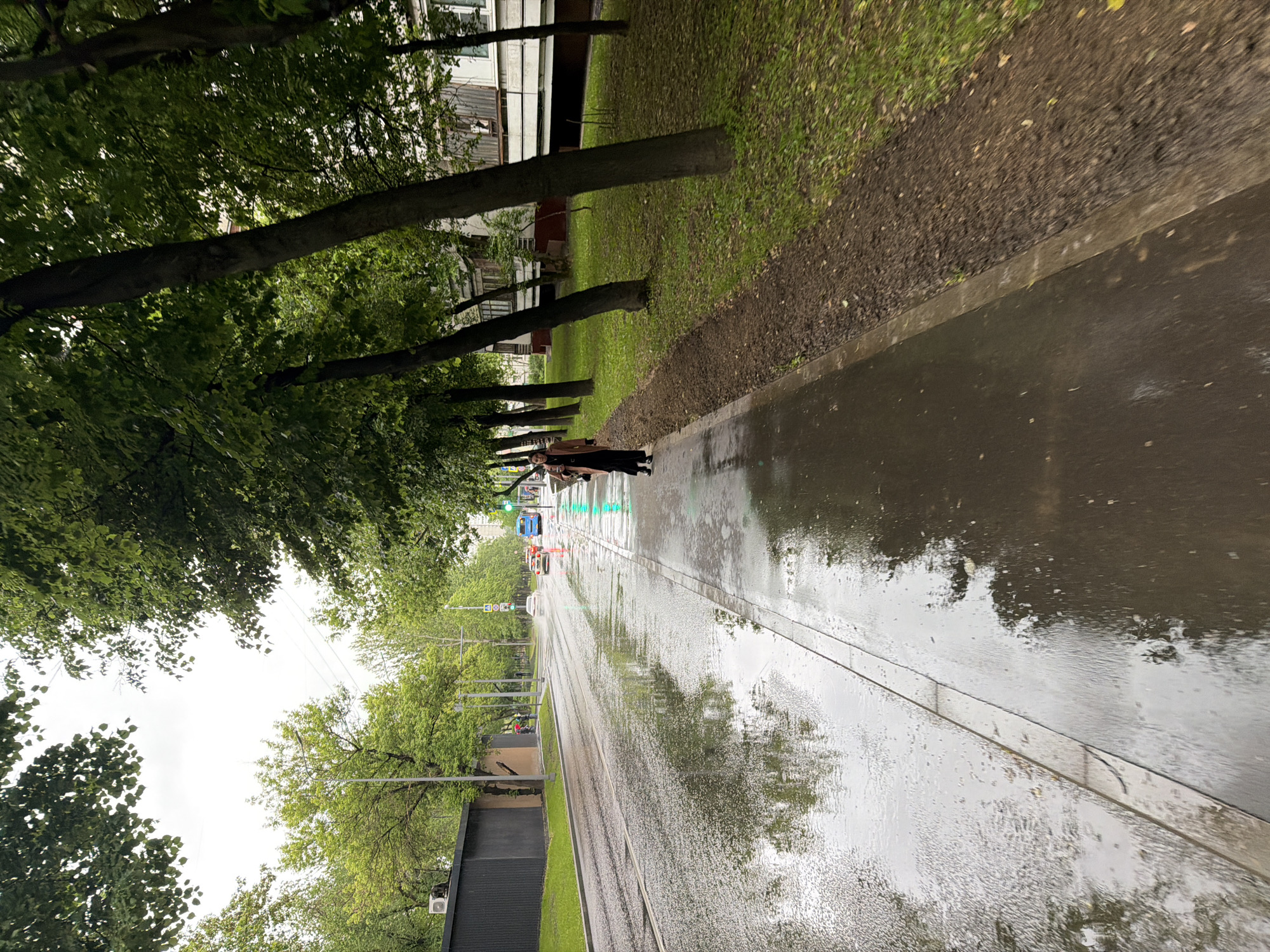 The image depicts a street scene in Moscow, Russia on a rainy day. The road is wet and reflects the surrounding trees and sky. A row of trees lines the left side of the road, and buildings are visible in the background. A person is standing on the sidewalk. The traffic lights are green. A tram and several cars are visible in the distance.