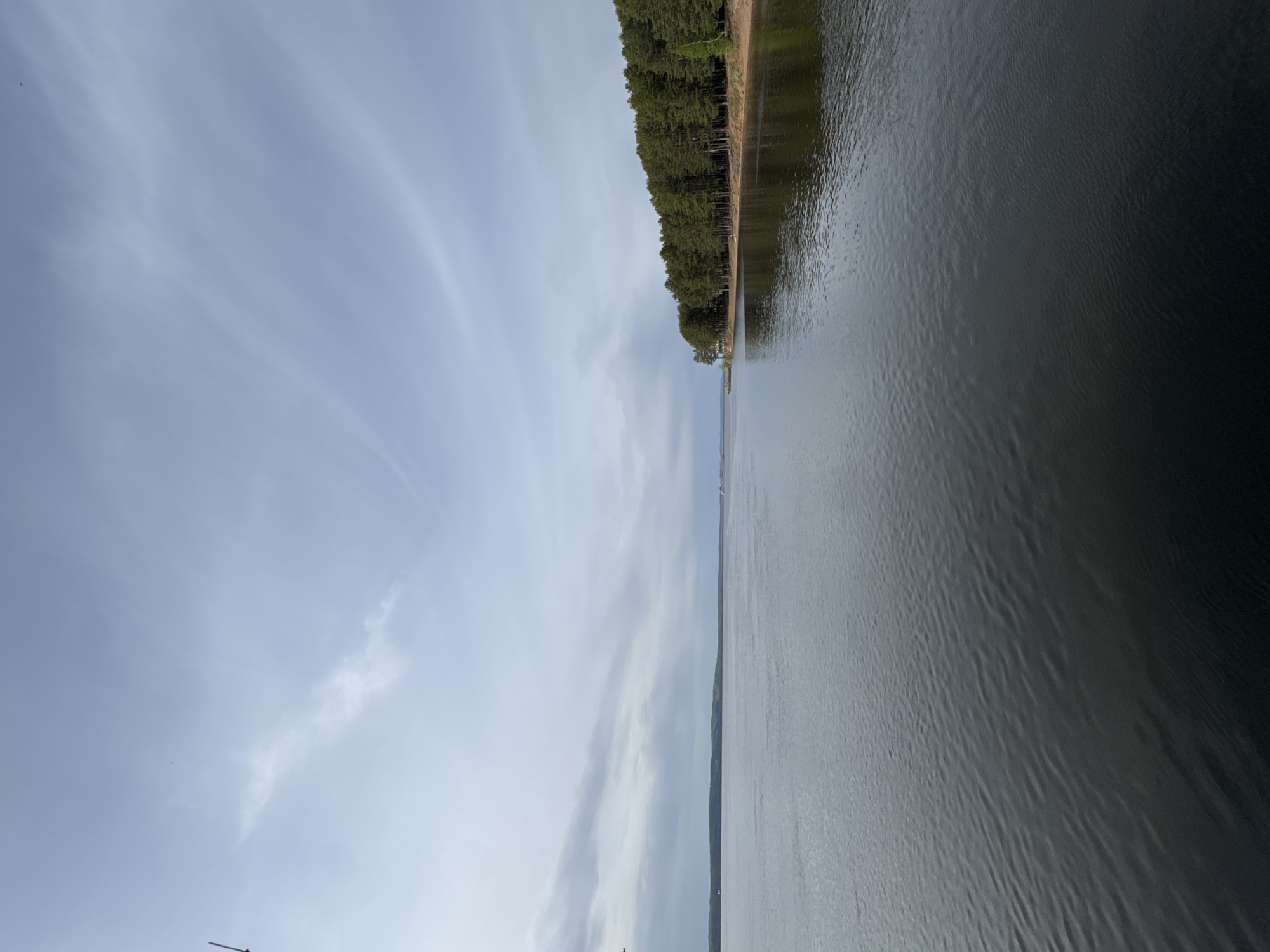The image shows a body of water with a tree-lined shore on the right side of the frame. The sky is visible on the left, filled with wispy clouds. The water appears calm, with some surface texture. Based on the prompt, the location is identified as Chaikovsky, Russia.