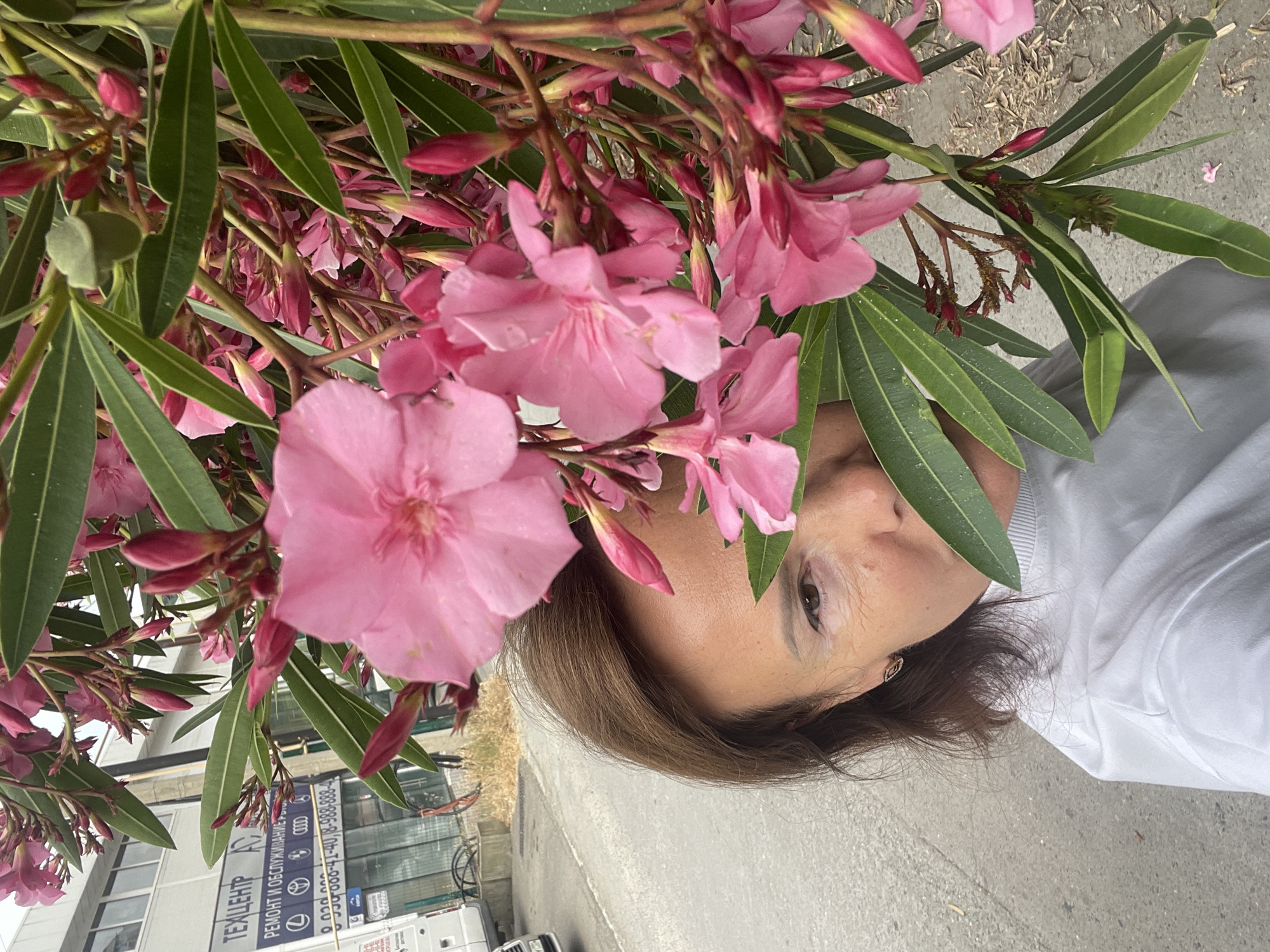 A woman is partially hidden behind pink oleander flowers and leaves, taking a selfie with her right eye and forehead visible. She has brown hair and is wearing a white top. In the background, a building with a sign in Russian and several car logos is visible, along with a paved road and sidewalk. This scene is located in the city of Sochi, Russia.