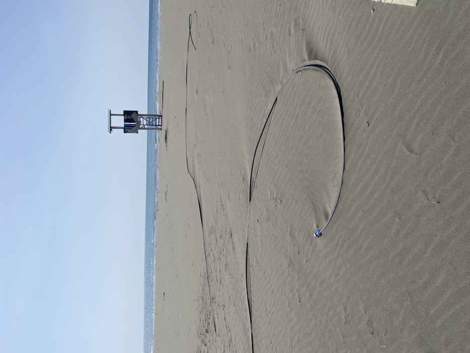 An outdoor scene captures a wide, unoccupied sandy beach in Ulcinj, Montenegro, under a clear, bright blue sky. In the immediate foreground and extending into the midground, a thick, dark-colored flexible hose or cable is laid across the rippled sand, forming a prominent curve and extending linearly towards the background. The end of the hose closest to the viewer is fitted with a blue and white cylindrical connector. The sand exhibits distinct wind-formed ripples and undulations. In the midground, a light-colored wooden lifeguard tower, featuring a blue back panel and a shaded roof structure, stands vertically on the sand, positioned towards the water's edge. The ocean, appearing calm with a visible horizon line, forms the background. No individuals or specific actions are depicted within the frame.