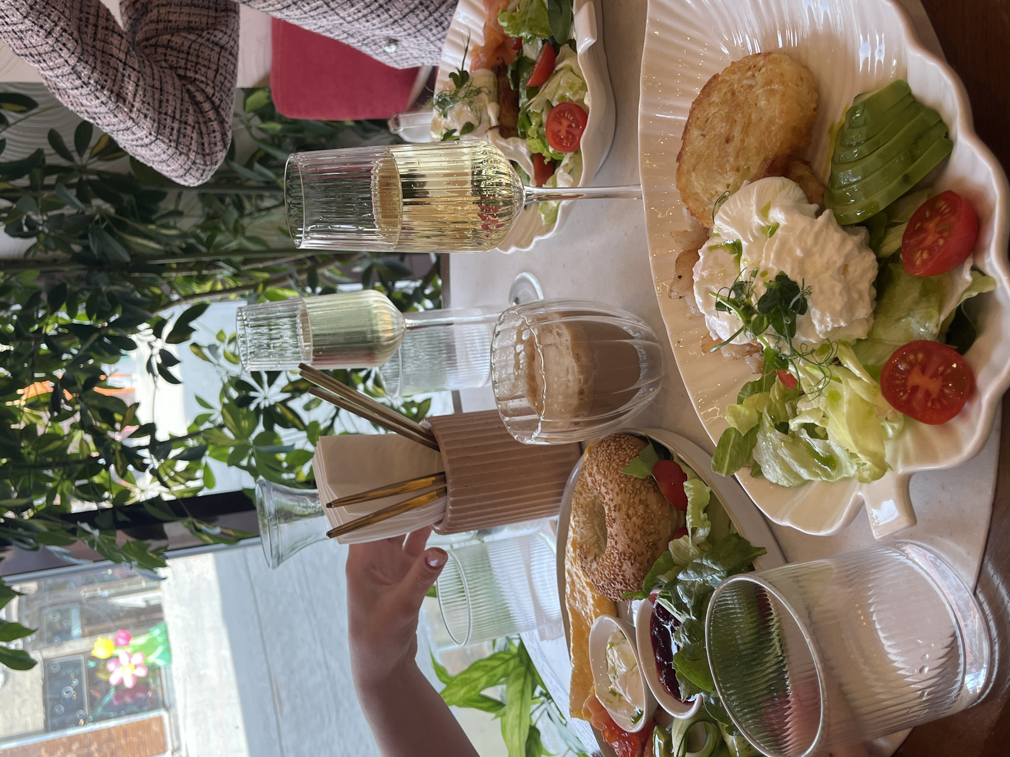 A bright, overhead shot captures a table laden with breakfast dishes and beverages. Two fluted glasses of champagne stand prominently, their contents catching the light. A glass of iced coffee sits nearby, its layers of cream and coffee visible. In the foreground, a plate holds a meticulously arranged salad with avocado slices, halved cherry tomatoes, and a poached egg topped with microgreens. Another plate features a bagel, accompanied by small dishes of cream cheese and jam, and a side of sliced tomatoes and cucumber. A hand reaches towards a napkin holder containing cutlery. The background reveals a blurred view of a storefront through a window, hinting at an urban setting. Lush green plants frame the scene, adding a touch of nature to the restaurant ambiance.