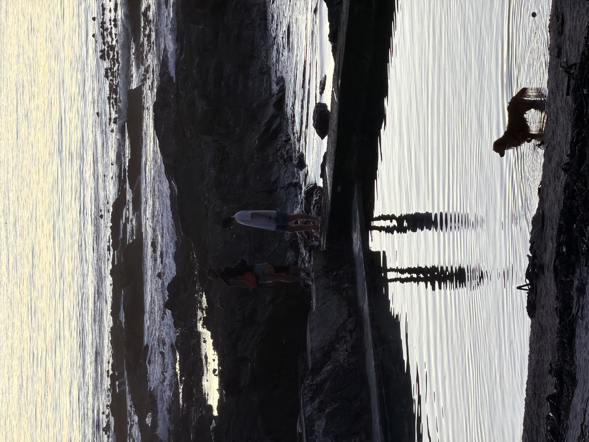 Here's a description of the image:
**Scene:** A coastal scene in Cape Town, South Africa, likely at or near a tidal pool or along the shoreline. The image is shot with the camera rotated 90 degrees clockwise.
**Environment:** The scene features water (likely the ocean), dark rocks, and a possible concrete structure or embankment. The water is relatively calm with ripples, and there are reflections visible.
**Subjects/Objects:**
* Two people are standing on the rocks.
* A dog is standing on the edge of the embankment near the water.
**Actions/Interactions:** The people are standing. The dog is standing and looking in the water.
