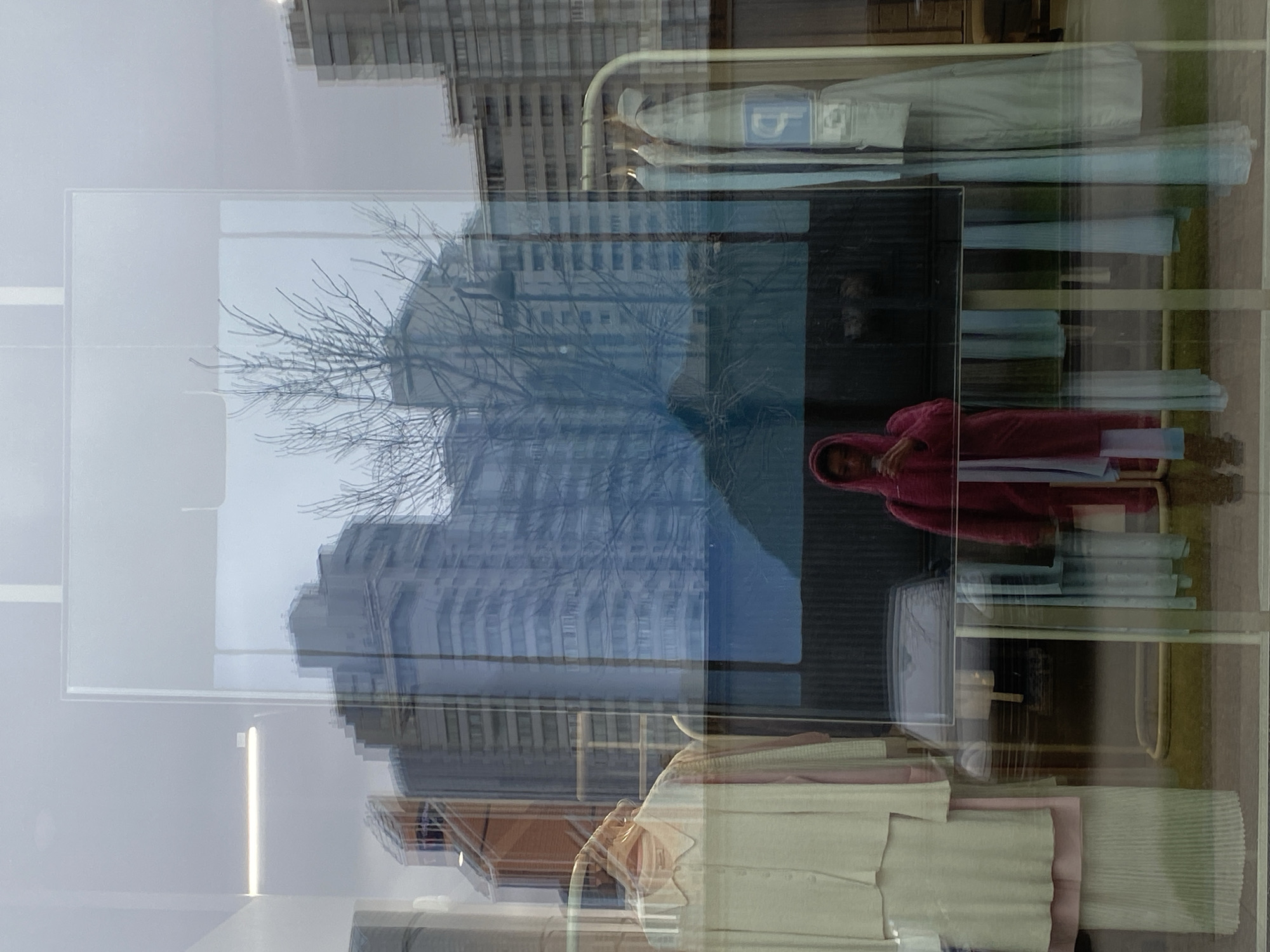 This image, set in Moscow, Russia, captures a complex urban scene viewed through a reflective window. The primary subject is a person, likely inside a store or establishment, wearing a reddish-pink hooded garment and looking towards the viewer from the lower right of the frame. Their face is partially obscured by the hood and reflections.
Inside, beneath the person, are shelves displaying neatly folded textiles and clothing items in pastel shades of pink, cream, and light green. In the upper right quadrant, a white garment bag containing a light-colored item of clothing, possibly a suit, hangs from a rack. A small white square sign with a blue stylized letter "P" is visible on this garment bag.
The window heavily reflects the exterior environment, superimposing it onto the interior scene. Dominating the reflection are tall, modern multi-story buildings with numerous windows, suggesting a dense urban setting. A bare, deciduous tree with intricate branches is also prominently reflected across the center of the image. The sky appears bright and overcast, indicating a cloudy daytime setting without harsh direct sunlight.
There is no specific activity or event taking place; it is a static snapshot highlighting the interplay of reflections and transparency. The notable details include the layered visual effect created by the glass, the soft diffused light, and the clear distinction between the interior display and the reflected cityscape. The overall impression is one of modern urban life, blending indoor and outdoor elements through the medium of glass.