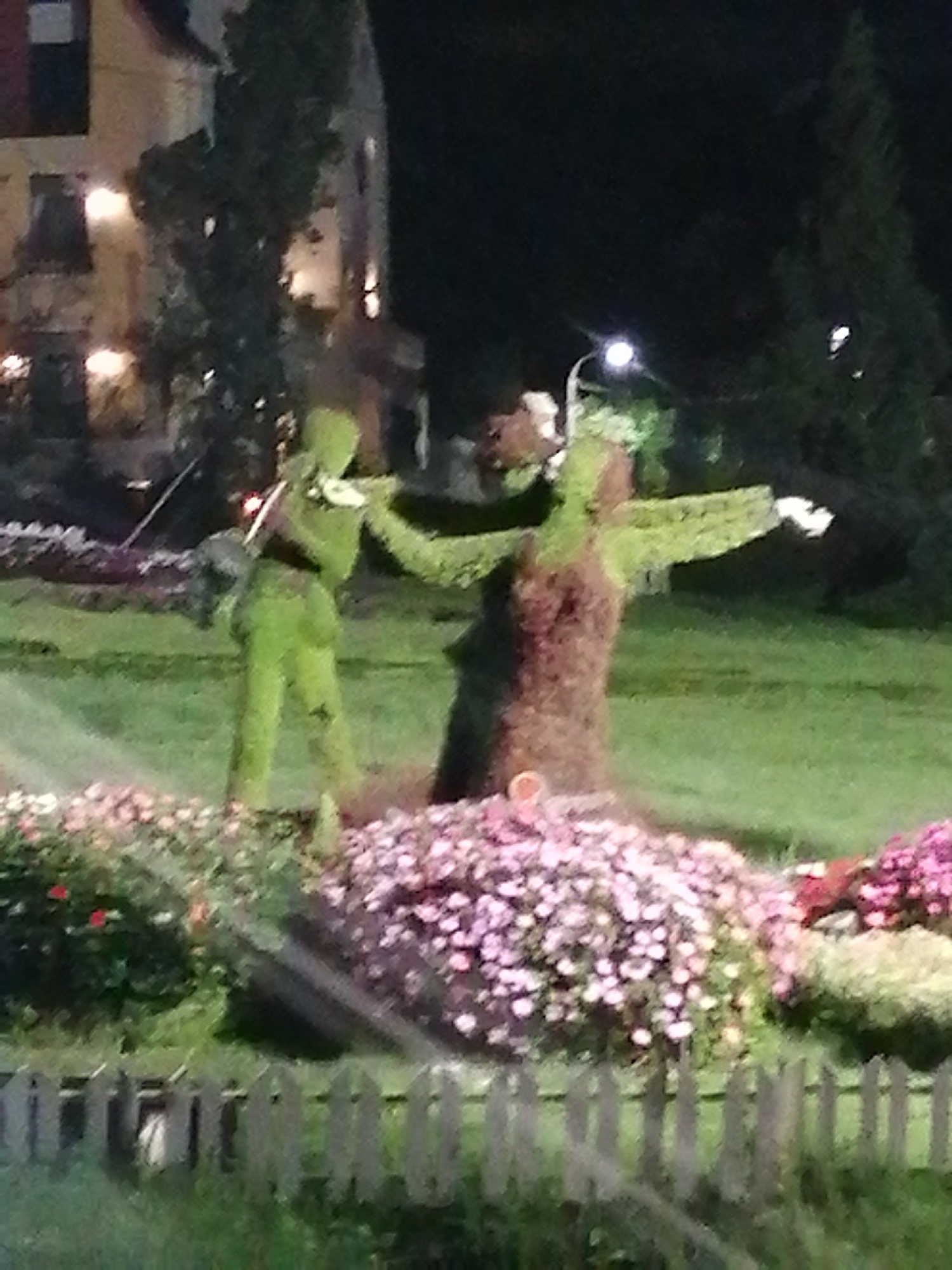 The image shows a garden scene at night. In the foreground, there is a white picket fence. Behind the fence, there are flowerbeds containing clusters of pink and white flowers.
In the background, there are two large plant sculptures. One is shaped like a man playing the violin, and the other is shaped like a woman with her arms outstretched. The plant sculptures are located on a grassy lawn. Behind the lawn, there are trees and a building lit by streetlights. The scene is possibly in Da Lat, Vietnam.