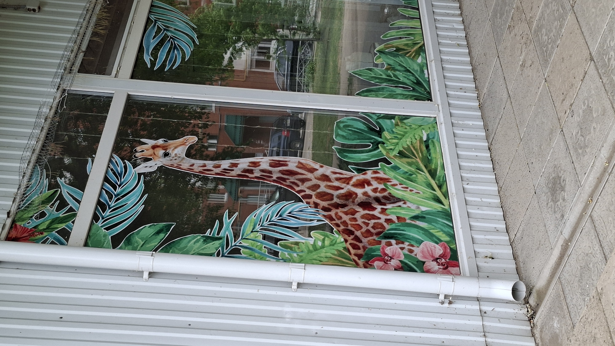 The image depicts a window display in Chaikovsky, Russia. The window is decorated with a mural featuring a giraffe surrounded by tropical foliage. The window is part of a building with white corrugated metal siding. A white drainpipe runs along the bottom of the window. The reflection in the window shows buildings, trees, and a parked car. The sidewalk is paved with light-colored tiles.