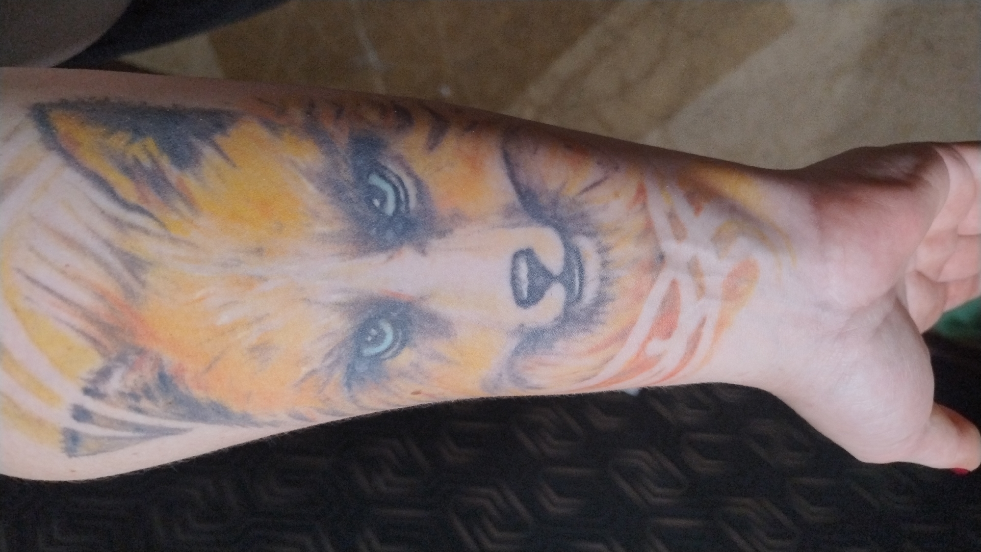 The image shows a close-up of a tattoo on a person's arm. The tattoo depicts a fox's face with piercing blue eyes, rendered in shades of orange, yellow, black, and grey. The background of the tattoo has abstract, flame-like patterns in similar colors. The person's skin tone is fair. The background of the photograph is out of focus, showing a dark, textured surface on the left and a lighter, possibly wooden surface on the right. The image does not provide any information about the city of Mykolaiv, Ukraine, or any specific location within it.