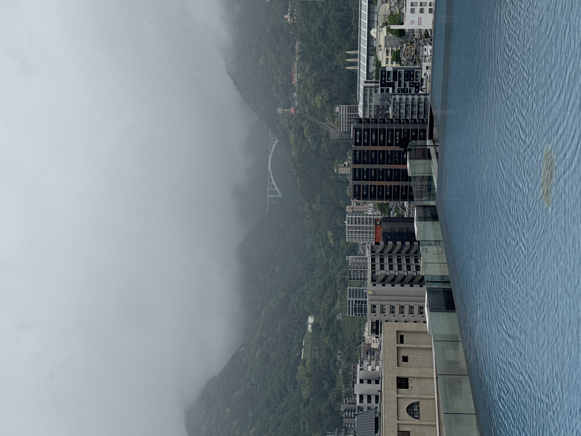 From a high vantage point in Beppu, Japan, a view unfolds encompassing mountains, a cityscape, and water. A mountain range is partially obscured by a dense layer of fog. The urban environment, characterized by buildings, bridges, and roads, nestles between the mountains and the water. Some of the buildings are tall, modern structures. A significant bridge structure is visible amidst the greenery, although partially veiled by mist. A body of water, likely an infinity pool, appears in the foreground. The water's surface shows slight ripples, and there is a blemish. The orientation of the image is such that the landscape appears vertical.
