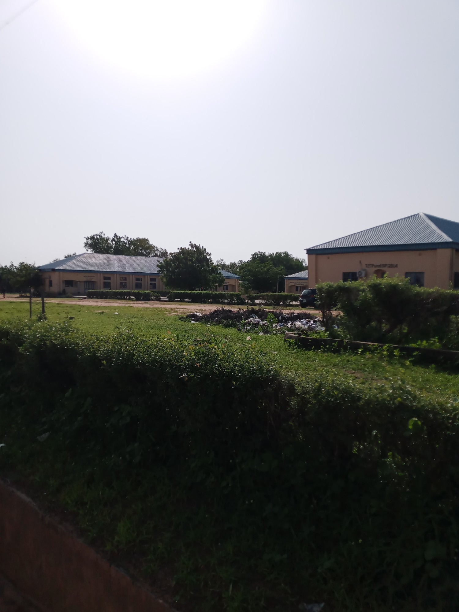 This image depicts an outdoor scene in Jalingo, Nigeria, featuring two beige, single-story buildings with blue, corrugated metal roofs. The building on the left has a sign with text that appears to be "ACADEMIC AFFAIRS." The building on the right has text on its facade that reads "TETFUnd SP 2014." Both buildings are surrounded by green grass and some scattered debris, including what appears to be trash. A dark-colored van is parked between the two buildings. Lush green vegetation, including trees and bushes, is visible throughout the scene, with the foreground dominated by dense, dark green foliage. The sky is bright and overcast, suggesting daytime.