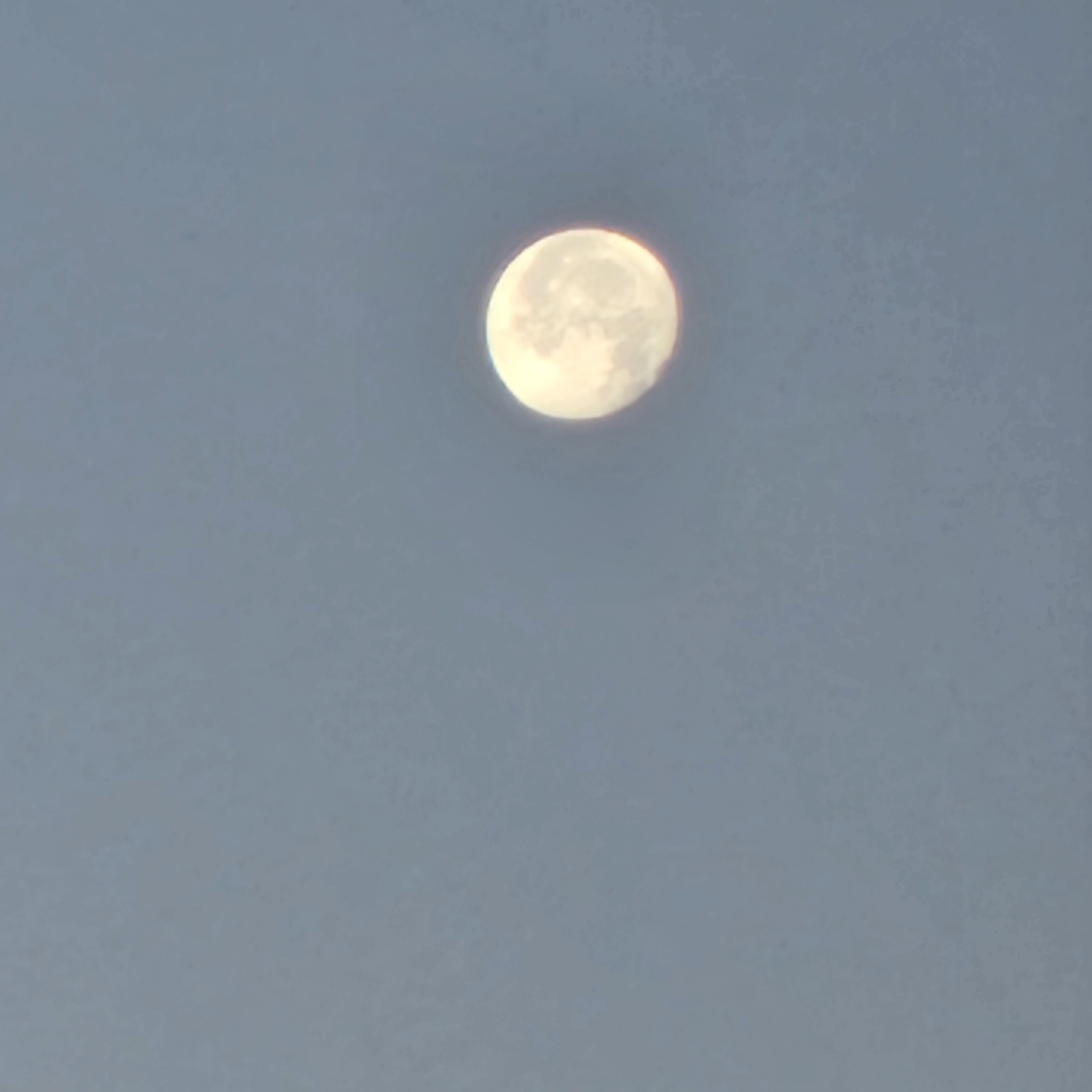 The image shows a full moon against a clear, light blue sky. The moon is the primary subject and is positioned in the upper center of the frame. It is illuminated and shows some surface details, appearing slightly yellowish. The sky is a uniform, pale blue, suggesting daylight or twilight conditions. There are no other visible objects or features in the image, and it does not provide any information about a specific location in Gurb, Spain.