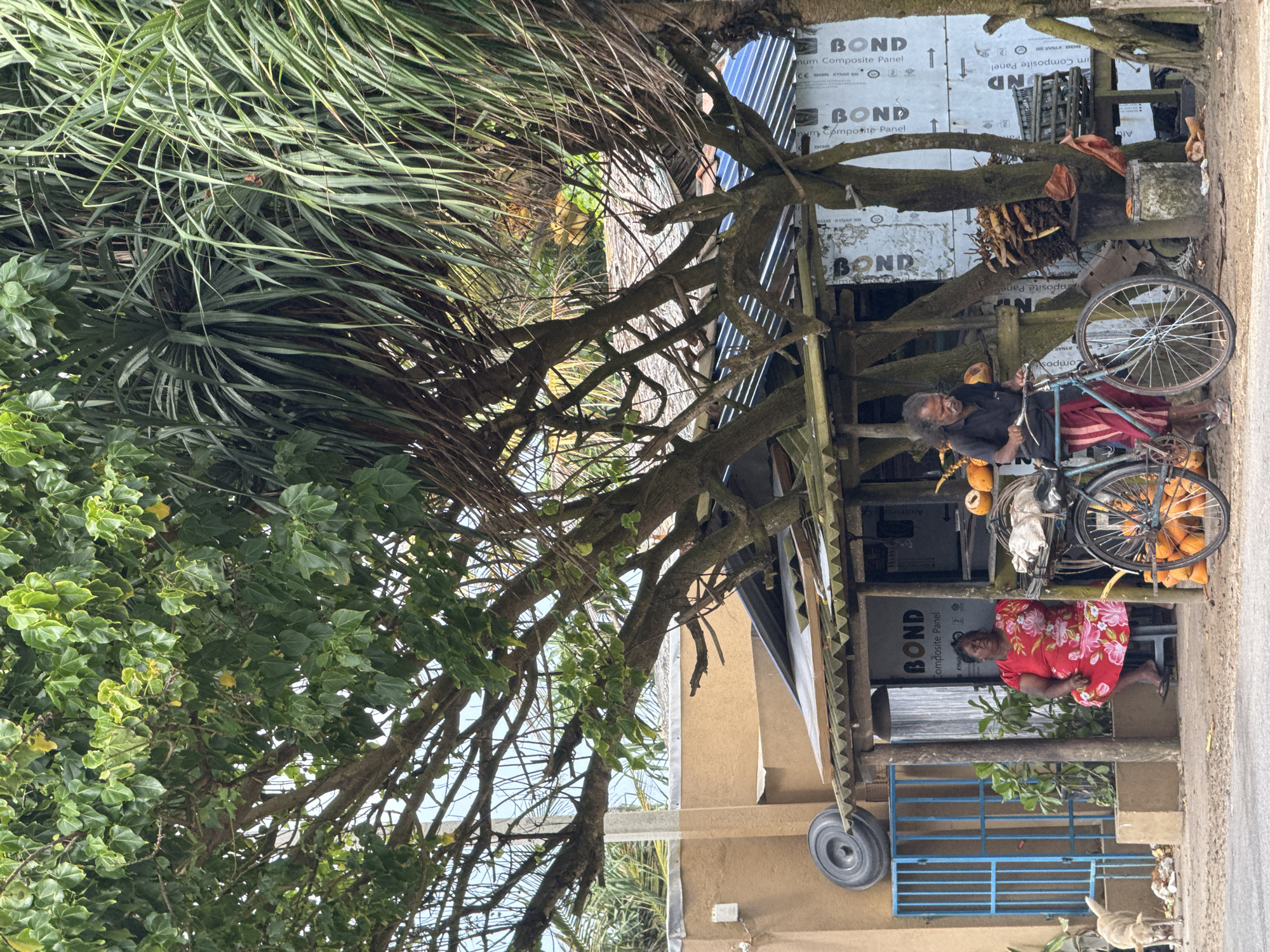 In Goviyapana, Sri Lanka, a roadside stall is captured under the shade of trees. A woman in a red floral dress sits on a stool near the entrance of the stall, while a man with long gray hair, wearing a dark shirt and a red and white striped sarong, stands beside a bicycle loaded with coconuts. The stall itself appears to be constructed from corrugated metal and wood, with various items, including more coconuts, displayed for sale. A small, light-colored dog is visible to the left of the frame, near a blue metal gate and a black tire. The scene is set along a paved road, with dense tropical foliage framing the background.