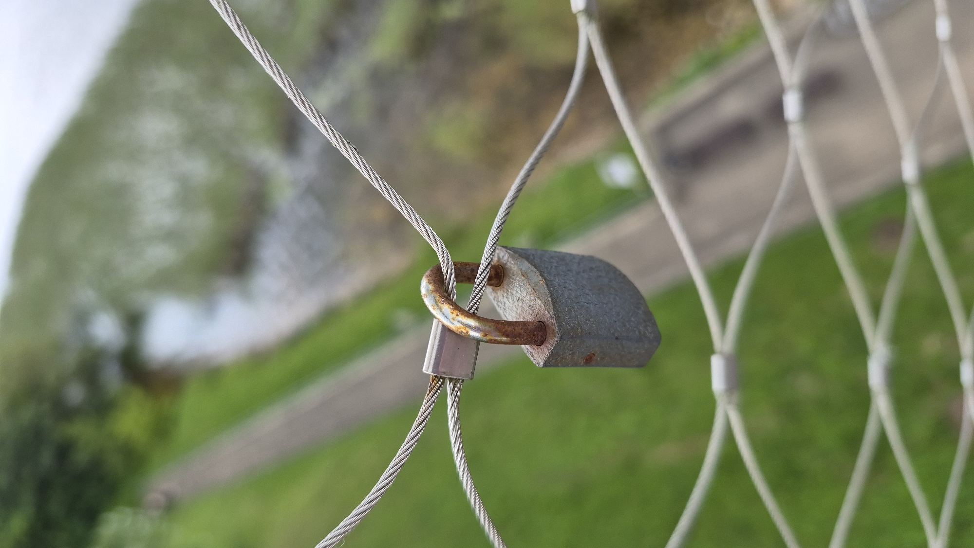 A close-up, slightly angled shot captures a single, weathered padlock hanging from a taut, thin steel cable. The padlock, primarily gray with significant rust on its shackle and body, is suspended from two intersecting cables. In the blurred background, a paved pathway meanders through a green, grassy area adjacent to a body of water. The environment suggests a park or scenic overlook, possibly near a body of water. The overall impression is one of aged permanence, with the padlock symbolizing a past event or sentiment. This scene is located on the bridge over the narrow strait connecting the lakes of Zarasas and Zarasele in the city of Zarasai, Lithuania.
