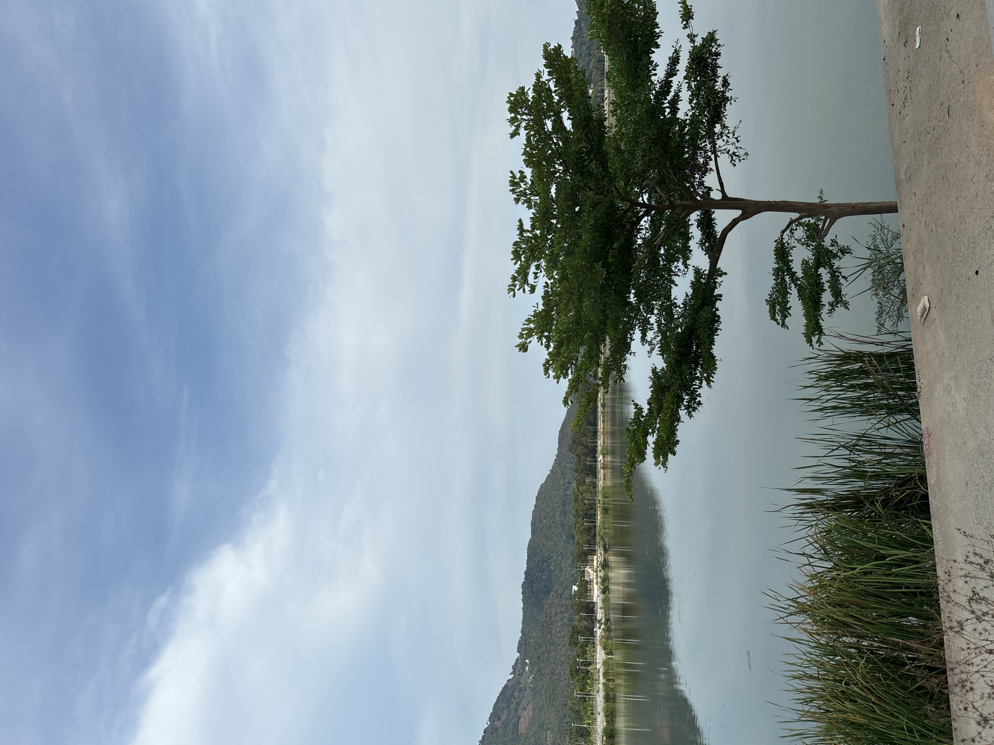 The image depicts a landscape in Baan Chaweng, Thailand. In the foreground is a tree with green foliage, situated on a bank covered with tall grasses next to a concrete barrier. The background features a lake with a mountain range and various structures on its shore. The sky is partly cloudy. The image appears to be taken during the daytime.