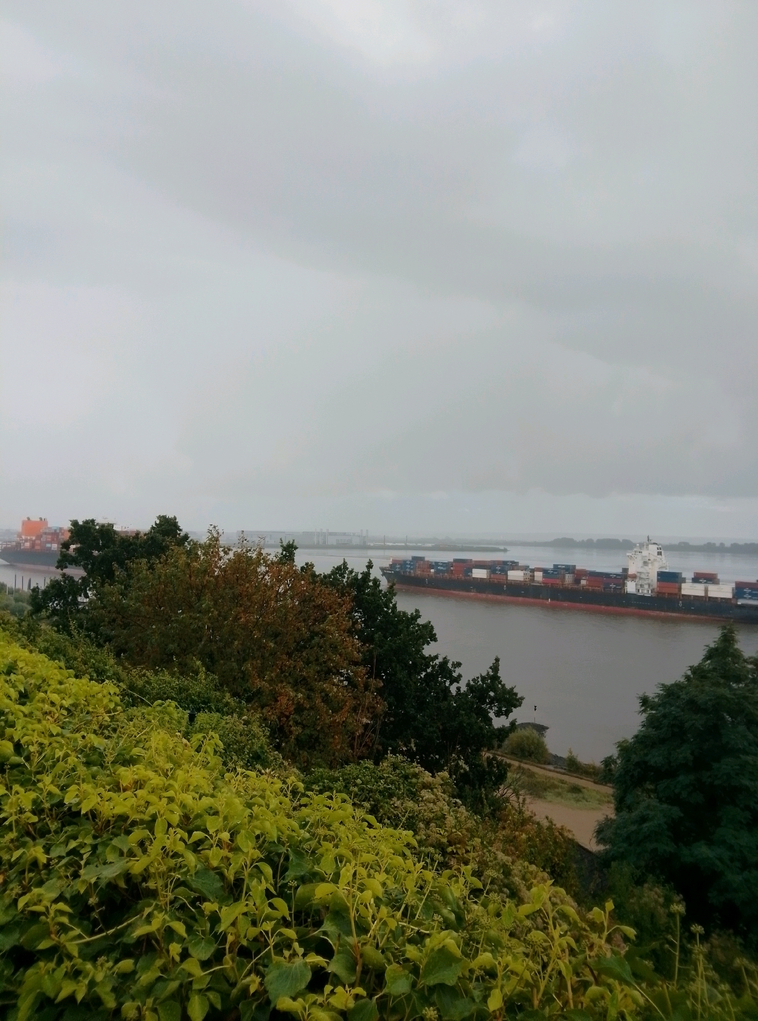 A wide-angle, overcast, medium-distance shot captures a panoramic view of a harbor with a container ship sailing on a wide river in Hamburg, Germany. In the foreground, lush green foliage covers a sloping hill, with lighter green ivy prominent in the lower left corner. Behind the foliage, darker green trees and some with autumnal brown and yellow leaves create a dense treeline.
The river, a muted grey, dominates the midground, with a large container ship positioned slightly right of center. The ship, painted with a dark hull and an orange superstructure, is laden with numerous stacked shipping containers in various colors, predominantly red, blue, and white. Another ship, partially visible on the far right, appears to be a smaller vessel or another container ship.
In the distance, a flat, hazy horizon shows industrial structures and buildings, possibly port facilities, under a uniformly grey sky. The overall atmosphere is subdued and perhaps damp, consistent with overcast weather. No people are visible in the frame. The perspective suggests the photograph was taken from an elevated position overlooking the harbor.