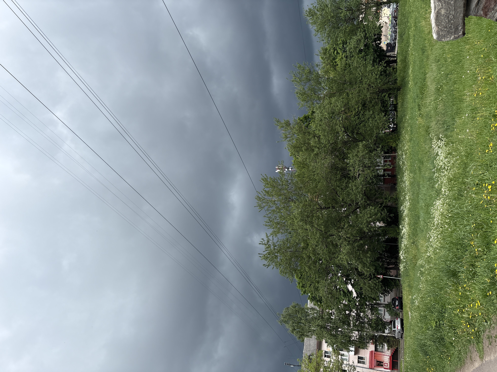 A street view in Veliky Novgorod, Russia under a menacing sky. The overcast sky is dark grey. Power lines cut diagonally across the upper left of the frame. To the right of the power lines, a line of trees separates the sky from the foreground. A patch of green grass, dotted with white and yellow flowers, occupies the right side of the image. Partially obscured by the trees, a building with a red exterior wall is visible, along with parked cars. A fragment of a concrete or stone structure is in the upper right corner.