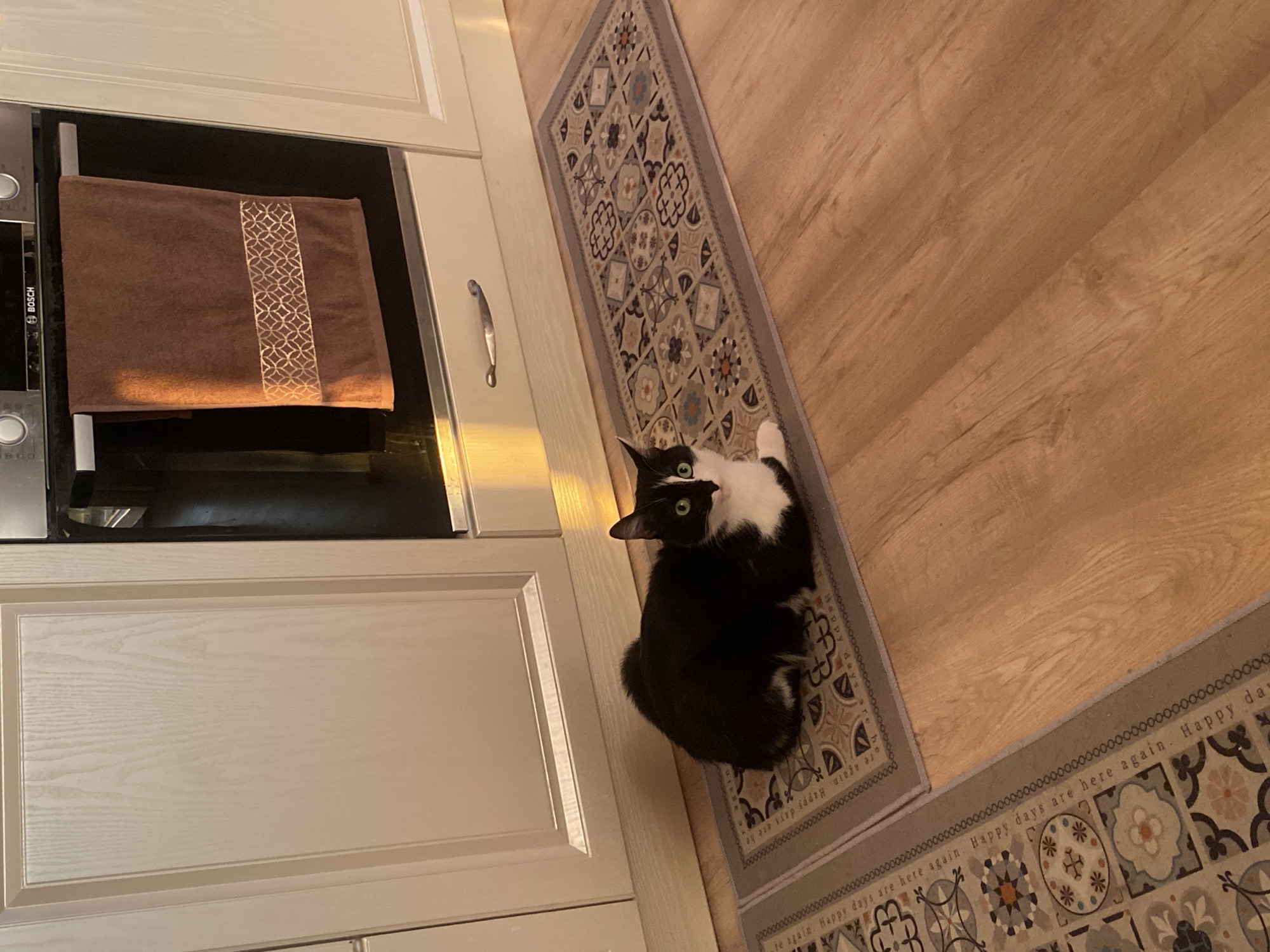 A tuxedo cat with striking green eyes is captured in a high-angle shot, looking directly at the camera from a kitchen floor in Yekaterinburg, Russia. The black and white cat is semi-recumbent on a long runner rug, positioned between light-colored kitchen cabinets and a wood-look floor.
The kitchen features modern light-toned cabinetry, some with subtle panel detailing, and a silver pull handle is visible on one cabinet. A stainless steel built-in appliance, identifiable by the "BOSCH" logo, is partially visible on the left, possibly a microwave or oven. A brown towel with a decorative gold geometric pattern down its center is neatly draped over the appliance's handle.
The floor is a light, warm-toned wood or laminate. A patterned runner rug, primarily in shades of gray, cream, and muted blues and oranges, features a repeating mosaic tile design. The border of the rug repeatedly displays the phrase "Happy days are here again." The lighting suggests an indoor setting, likely illuminated by artificial lights, casting a warm glow on parts of the scene. The cat's alert posture and direct gaze are the focal point of the image.