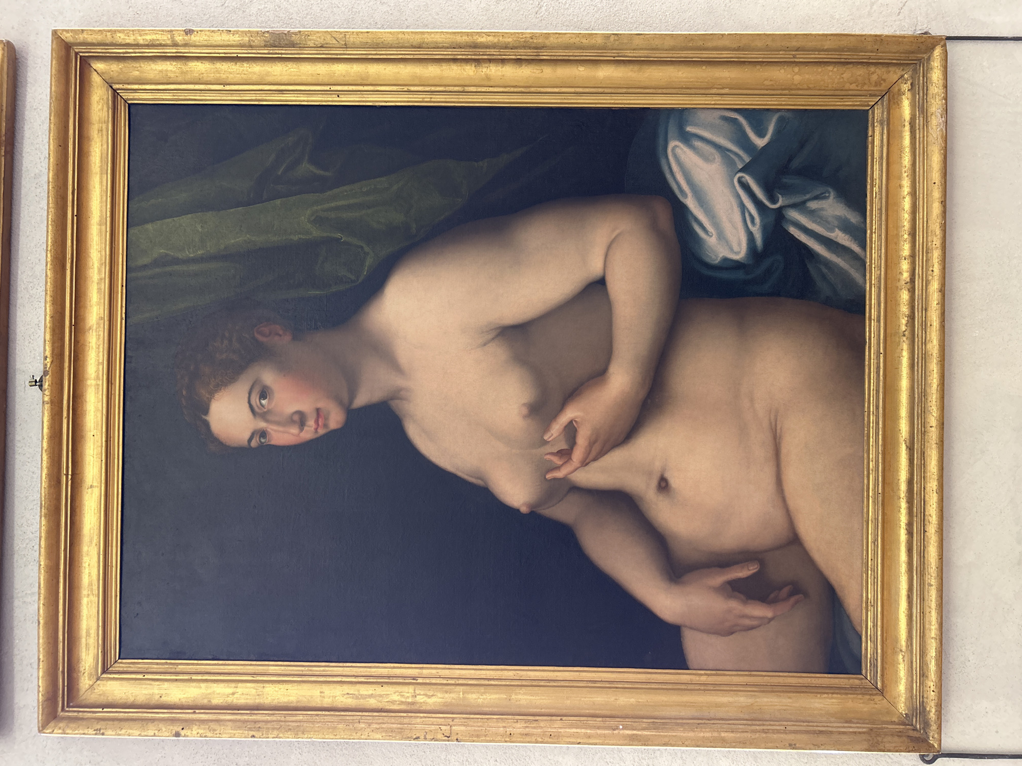 A framed oil painting, identified as "Venus" by Paris Bordon, is depicted hanging on a light-colored wall. This painting is located in the Galleria Borghese, Rome, Italy. The artwork features a nude, full-figured woman with fair skin and reddish-brown hair, styled back from her face. She looks directly at the viewer with a neutral expression. Her left hand is positioned to cover her left breast, while her right hand rests on her upper thigh. The woman is seated or reclining against a dark, plain background. A section of dark green drapery is visible in the upper right portion of the background, and light blue or silvery-white drapery with folds is arranged under her right hip and arm in the lower right. The painting is enclosed within an ornate, multi-layered gold frame. A small metal hook is visible above the top right corner of the frame.