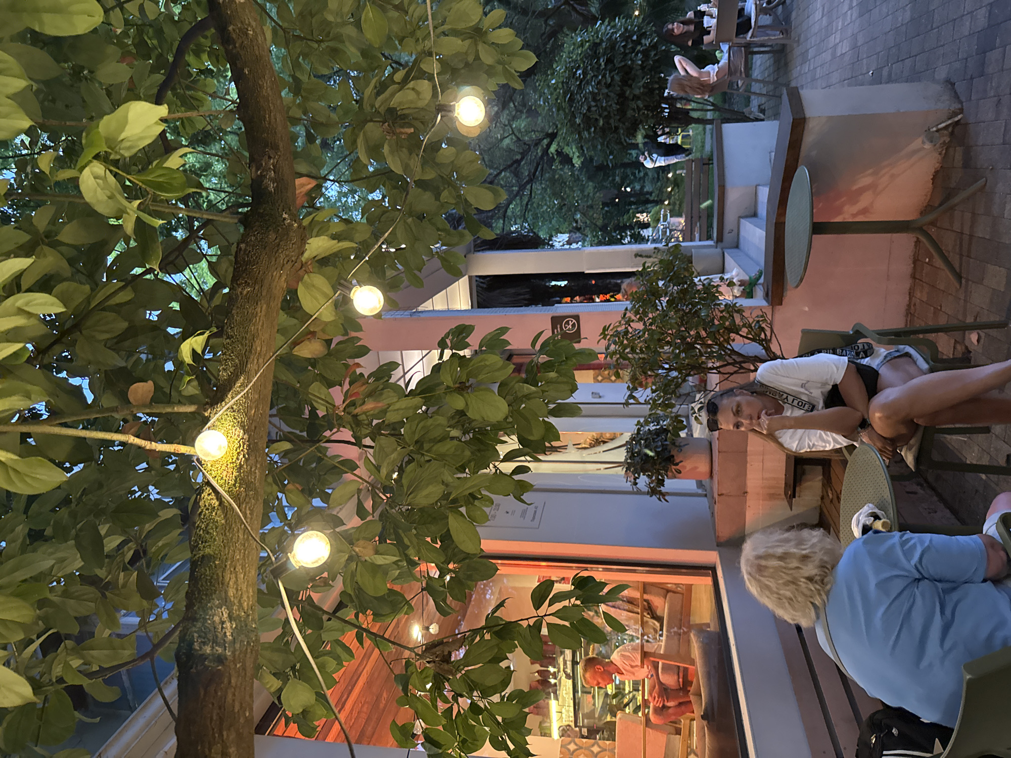 The image depicts an outdoor seating area at a cafe or restaurant in Sochi, Russia. It appears to be dusk, with string lights illuminating the scene. The focus is on several people seated at tables. In the foreground, a woman with blonde hair is seated with her back to the camera, wearing a blue shirt. To her left, another woman with blonde hair is seated, looking to the side and wearing a white t-shirt and shorts. Further in the background, other patrons are visible, some seated at tables and others standing.
The setting includes lush greenery from trees and potted plants, along with brickwork and paved ground. A round green table is prominent in the middle ground. The overall ambiance suggests a relaxed evening gathering. There is no discernible weather information.
Visible text includes a logo or brand name on the white t-shirt worn by the woman in the middle ground, which appears to be "EJIO YAROLBA". There is also a sign with a prohibition symbol on a pillar in the background.