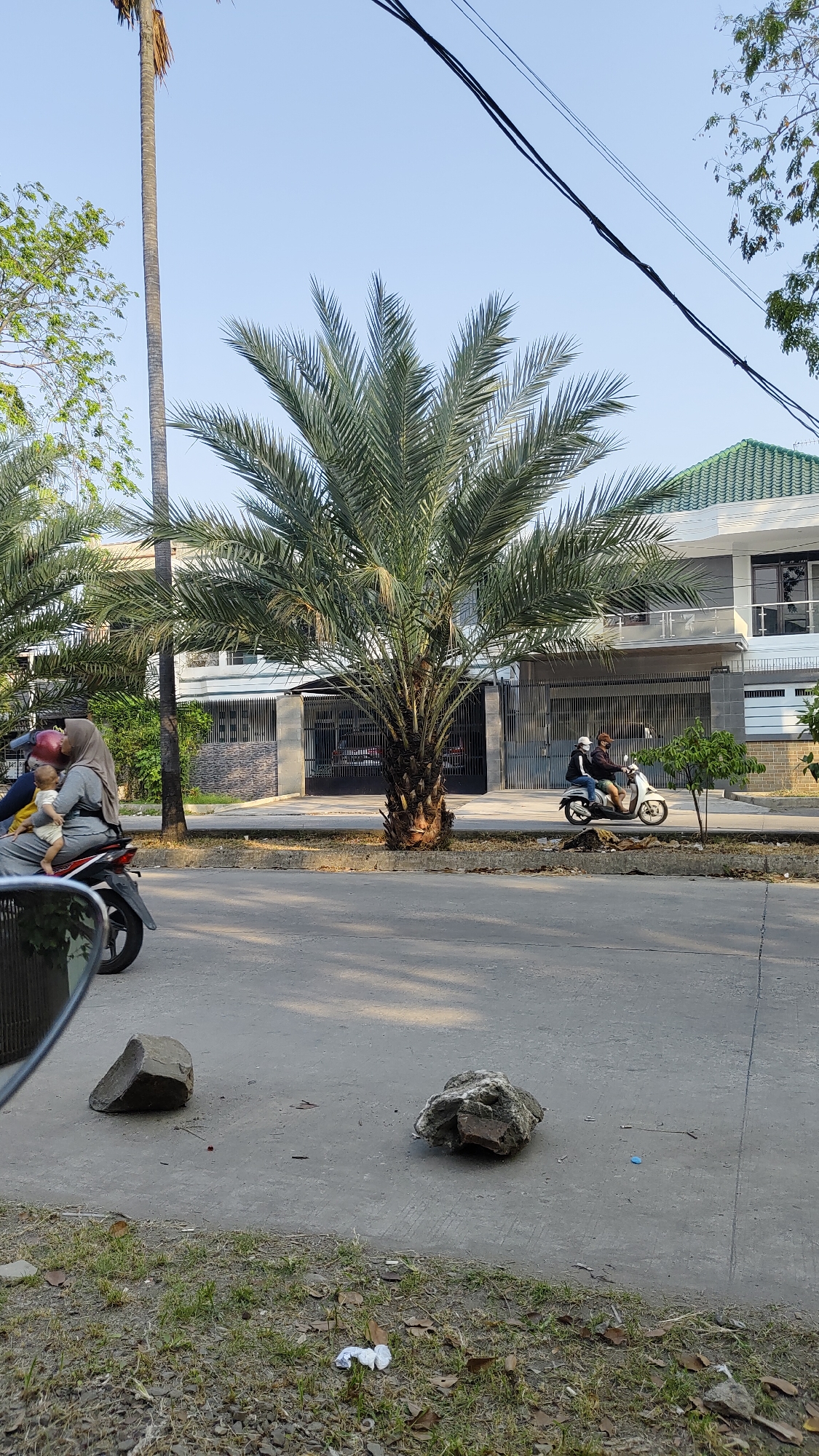 In the city of Bekasi, Indonesia, a street scene unfolds under a clear sky. A large palm tree dominates the foreground, its fronds casting shadows on the asphalt. Two individuals ride a white scooter on the road, their faces obscured by helmets. In the distance, a modern two-story house with a green tiled roof stands behind a gated fence. The street is lined with a sidewalk and grass, with a few rocks scattered on the pavement. A woman wearing a hijab rides a motorcycle with a baby on her lap. The overall scene depicts a slice of everyday life on a sunny day in a suburban Indonesian setting.
