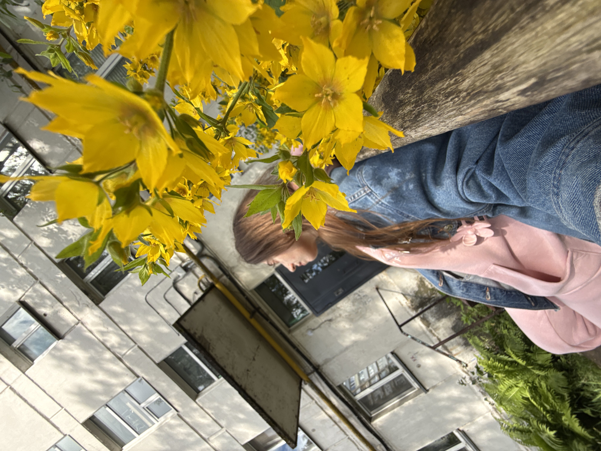 In an urban setting, a young woman with long, brown hair is pictured in profile, looking to the left. She is wearing a pink hooded sweatshirt with a decorative flower pin on the left side of the chest, and a blue denim jacket. The background features a concrete building with multiple windows and a dark gray door. Yellow flowers are in the foreground, obscuring part of the woman and the building. The scene appears to be outdoors, with sunlight casting shadows.