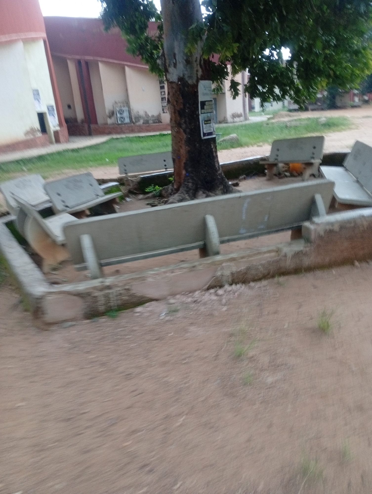 The image depicts an outdoor scene on what appears to be a cloudy day. In the background, a light-colored building with red trim is visible. Several concrete benches are arranged in a semi-circle around the base of a large tree with dark bark and green foliage. The ground is covered with sand and sparse green grass. The scene is likely located in Jos, Nigeria, a city known for its hilly terrain and cooler climate. The overall impression is one of an open public space, possibly a park or schoolyard, with a focus on the seating area under the tree.