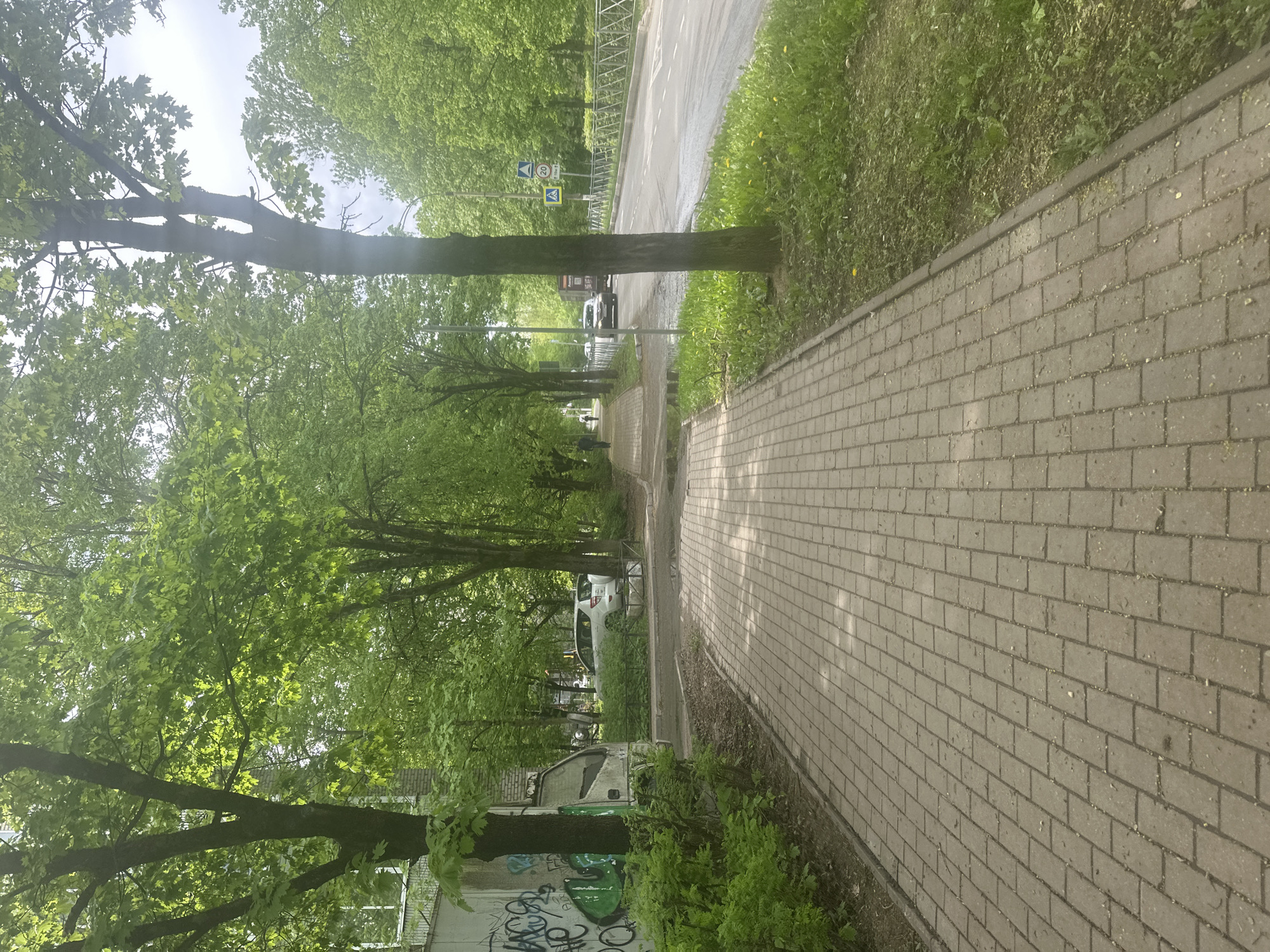 The image depicts a street scene in Selyatino, Russia. A paved sidewalk runs along the right side of the frame, adjacent to a green grassy area and a tree line. The sidewalk's bricks are light gray. Trees line the left side of the sidewalk, creating a canopy of green leaves overhead. A road is visible beyond the trees on the left, with at least two cars parked or driving on it. A pedestrian crossing sign is seen. Graffiti is visible on a concrete structure near the bottom of the image. The sky is overcast. There is no visible presence of people.