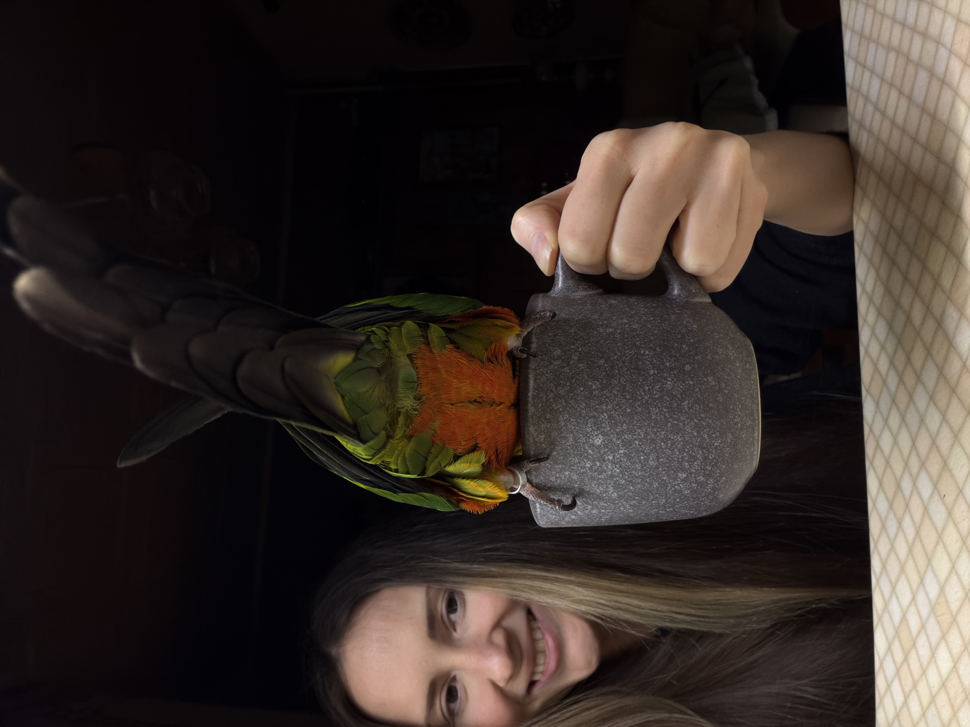 The image displays an indoor scene featuring a female individual and a parrot interacting with a mug. On the left, a female with long, straight brown hair and a smiling facial expression is partially visible. Her right hand holds a dark gray, speckled ceramic mug, positioned centrally in the frame. Perched atop the mug, facing away from the camera, is a small parrot, exhibiting green, yellow-green, and prominent orange plumage on its back and underside. A silver band is visible on its left leg, and its claws are gripping the mug's rim. A light-colored, checkered surface is visible in the foreground, extending below the woman's arm and the mug. The background is dark and out of focus, providing no identifiable details. The specific location within the city of Khimki, Russia, cannot be ascertained from the visual evidence present in the image.