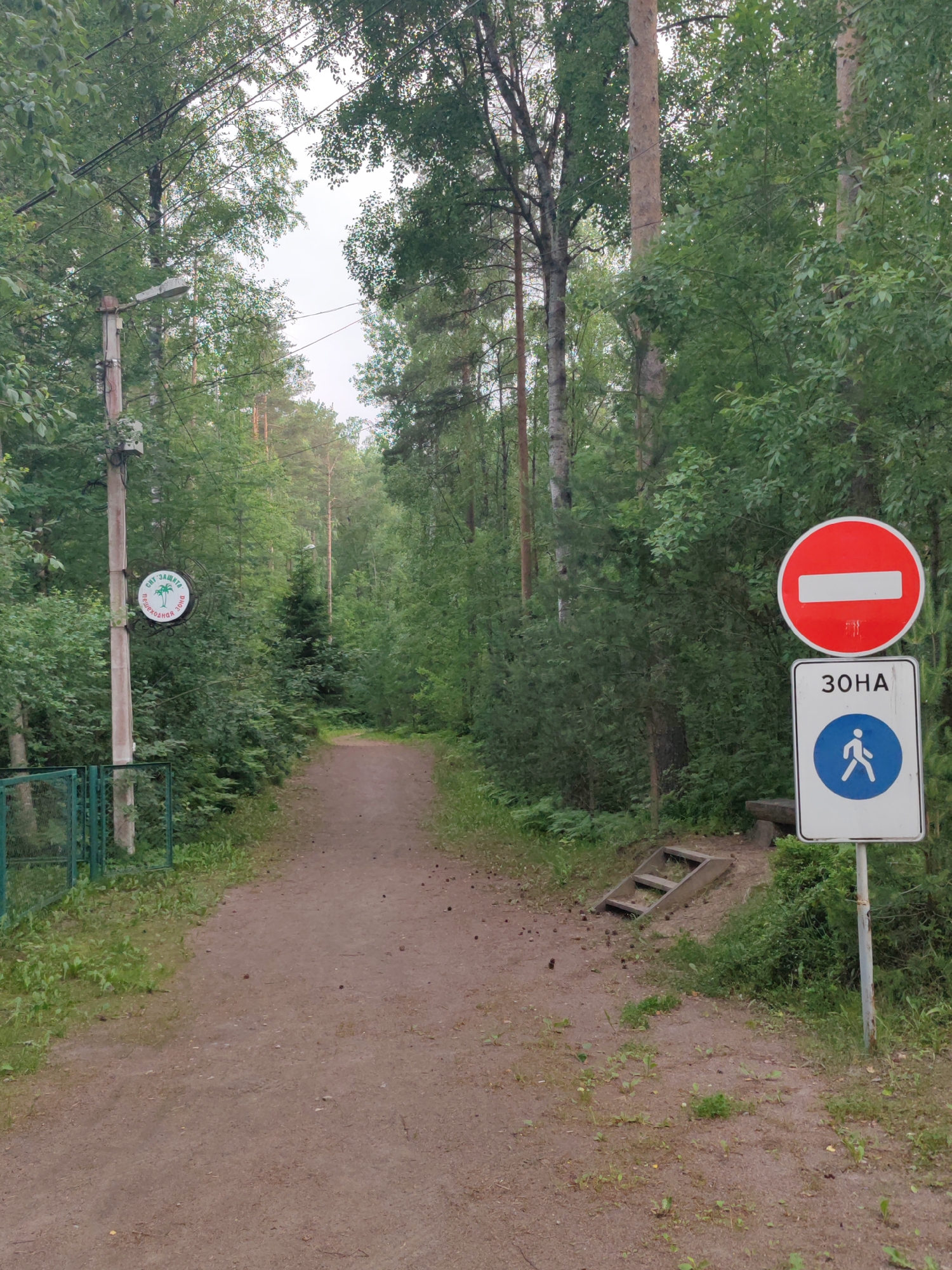 The image shows a dirt path in a forested area, likely in Zashchita, Russia. The path is flanked by dense green trees and foliage. On the left side of the path, there is a green metal fence and a wooden pole with a circular sign displaying palm trees and text in Russian, possibly indicating a protected or nature zone. Further down the path on the left, a street light is visible on a pole. On the right side of the path, two traffic signs are mounted on a pole. The top sign is a red circle with a horizontal white bar, indicating "Do Not Enter" or "No Entry." Below it is a rectangular white sign with the word "ЗОНА" (ZONA, meaning "ZONE" in Russian) and a blue circle containing a white silhouette of a person walking, signifying a pedestrian zone. A small wooden step or ladder is visible next to the signs, leading slightly off the path. The ground is covered with dirt, scattered pinecones, and some small plants. The sky is overcast. There are no people visible in the image.