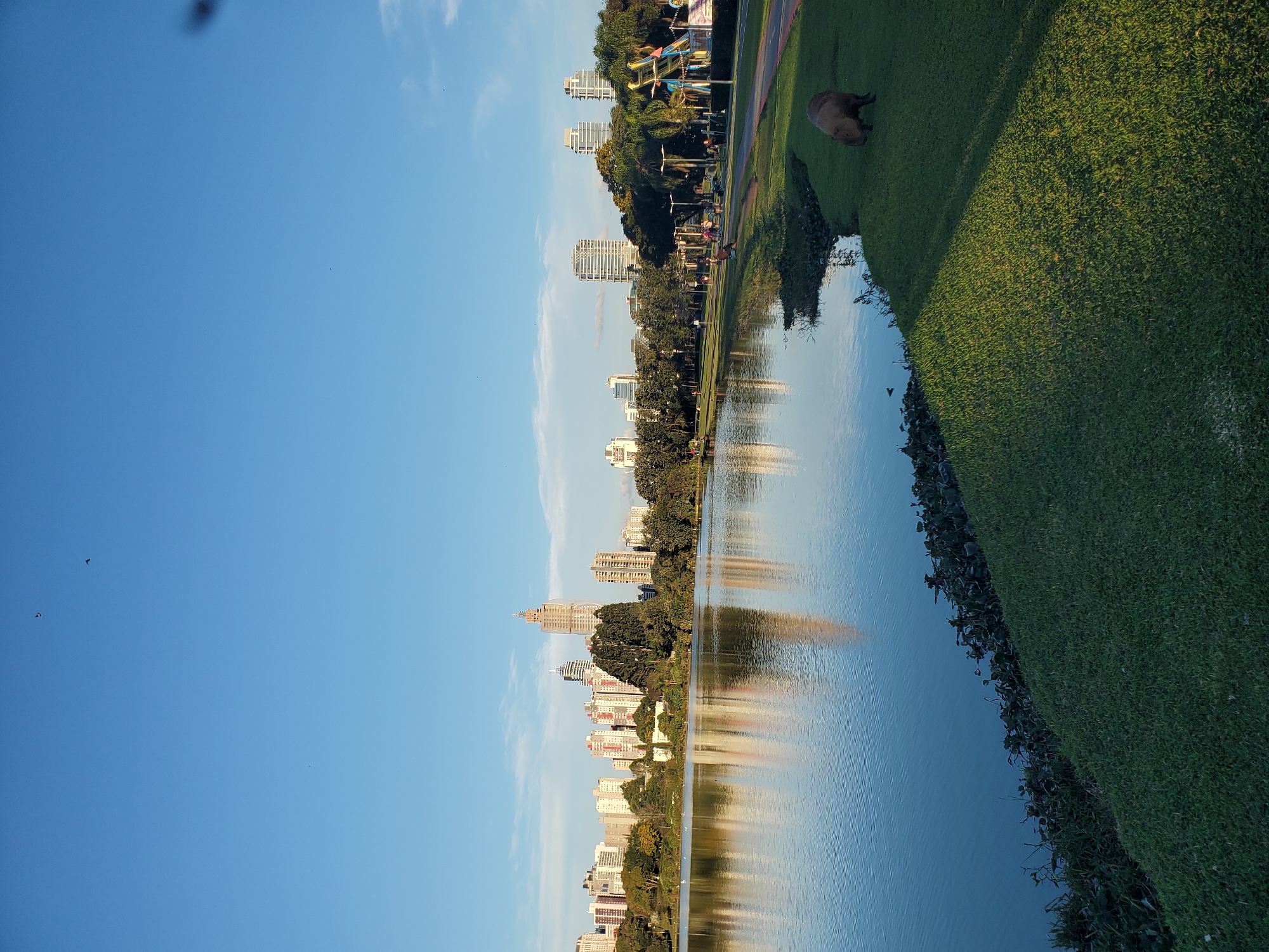 The image shows a picturesque view of the Parque Barigui in Curitiba, Brazil. In the foreground, a large body of water reflects the clear blue sky and a distant cityscape. The shoreline is lined with lush green grass and vegetation, with a capybara grazing peacefully on the lawn. In the mid-ground, a tree-lined path curves along the water's edge, with a few people strolling and enjoying the park. The background features a cluster of modern skyscrapers and buildings, signifying the urban setting of the park. The overall atmosphere is serene and tranquil, with the warm sunlight casting long shadows across the grass. The scene captures the harmonious coexistence of nature and urban life, making it a popular spot for recreation and relaxation.