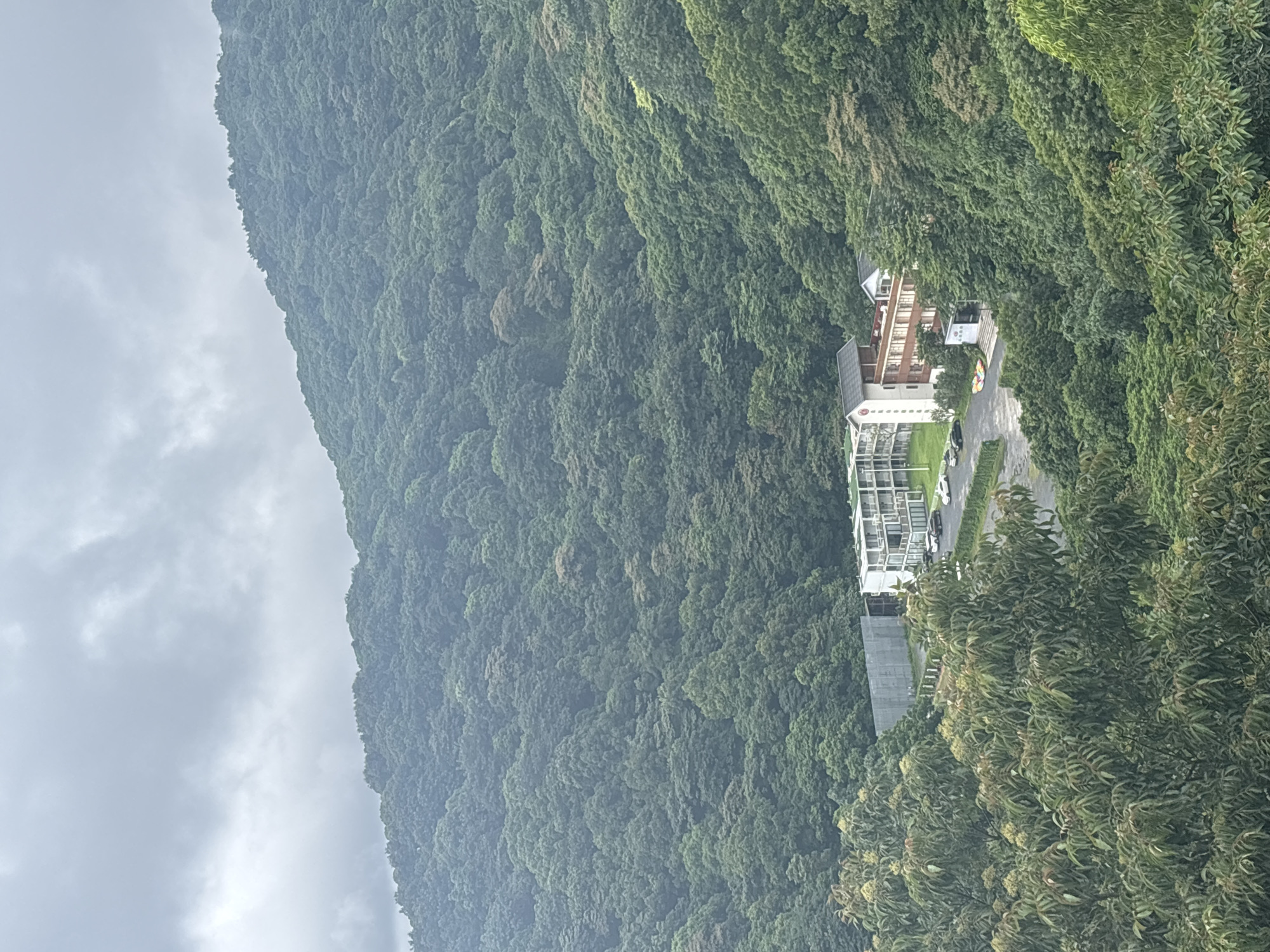The image depicts a cloudy day with a view of a lush, green mountain covered in dense trees. In the mid-ground, nestled among the trees, are several modern buildings. One building is white and appears to be a hotel or resort with multiple floors and balconies. Another building is a taller, more traditional structure with a brown facade, a pitched roof, and arched windows, featuring a prominent white vertical sign with Chinese characters. In front of these buildings, there is a paved area that appears to be a parking lot with several cars parked, including a white sports car and a couple of dark-colored sedans. The foreground is dominated by the canopies of large trees, their leaves a mix of green and some reddish-brown hues. The overall scene suggests a location in a mountainous, possibly tourist-oriented area, such as a resort or a scenic spot within or on the outskirts of Guangzhou City, China, characterized by its natural beauty and architectural elements.