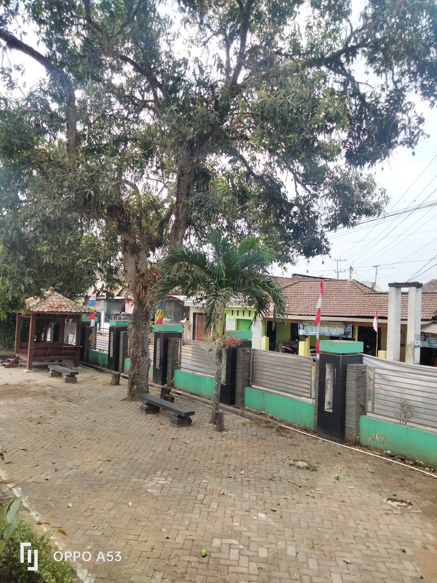 The image depicts an outdoor scene in Jati, Indonesia, likely a public area or an establishment's grounds. A large, mature tree with extensive branches dominates the left side of the frame, casting shadows on a paved walkway made of interlocking bricks. To the left of the tree, a small, open-sided wooden pavilion with a tiled roof stands on the paved area, with a dark stone bench situated in front of it. Further to the left, another dark stone bench is visible.
A low fence, primarily green at the base with stone and metal sections, separates the paved area from buildings in the background. These buildings have tiled roofs and feature Indonesian flags. One building displays a banner with text, and a motorcycle is parked in front of it. A palm tree is present to the right of the large tree. The ground in the foreground is strewn with fallen leaves and a few green fruits, possibly from the large tree. Power lines are visible crisscrossing the sky in the upper right portion of the image. The bottom left corner of the image shows the "OPPO A53" watermark.