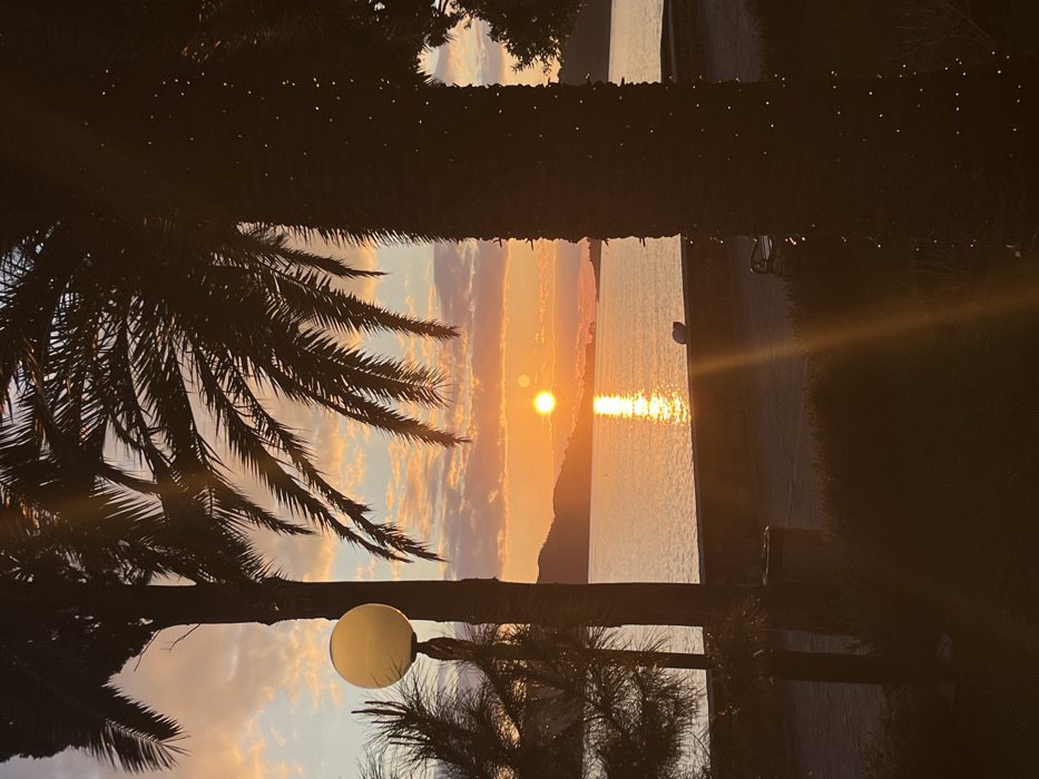 The image depicts a sunset scene in Rafailovići, Montenegro, viewed from a promenade adjacent to a body of water. The low sun is positioned centrally above the horizon, casting a bright, golden reflection on the calm water surface. Distant hills or mountains are silhouetted against the sky, which transitions from orange and pink near the horizon to lighter blue at the zenith, with scattered clouds visible.
In the immediate foreground on the left, a tall, dark palm tree trunk stands prominently. To its right, a street lamp with a spherical, translucent white globe is mounted on a vertical pole. Further right, another large palm tree trunk, adorned with numerous small, unlit decorative lights, partially frames the right side of the image, with its fronds extending into the upper right corner.
Below the water line, a paved promenade is visible. A low, light-colored wall or barrier separates the promenade from the water. On top of this wall, slightly right of the frame's center, rests a white, somewhat spherical object. On the promenade itself, a dark waste bin is situated on the left, and a dark bench is partially visible on the right. No individuals are present in the scene. The overall lighting is warm, characterized by the golden hues of the setting sun.