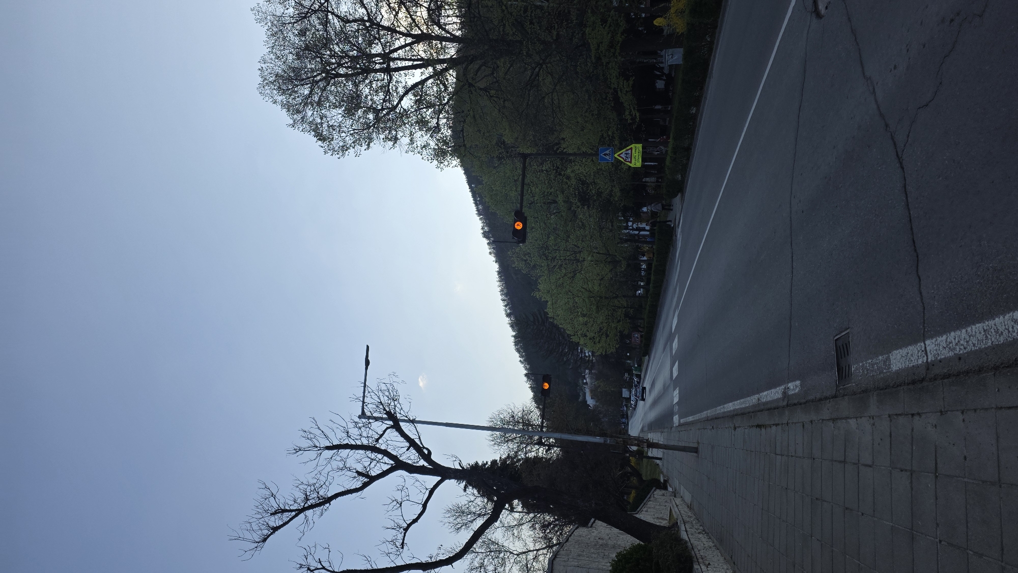 The image depicts a street scene in Blagoevgrad, Bulgaria. A paved road stretches into the distance, flanked by a sidewalk on one side and a tree-lined embankment on the other. Traffic lights are visible at two points along the road, both displaying orange lights. The sky is clear and light blue. A bare tree stands near the bottom of the frame, with its branches reaching towards the sky. A small building is partially visible at the bottom corner. A street lamp is near the tree. Further along the road, a pedestrian crossing sign is visible.