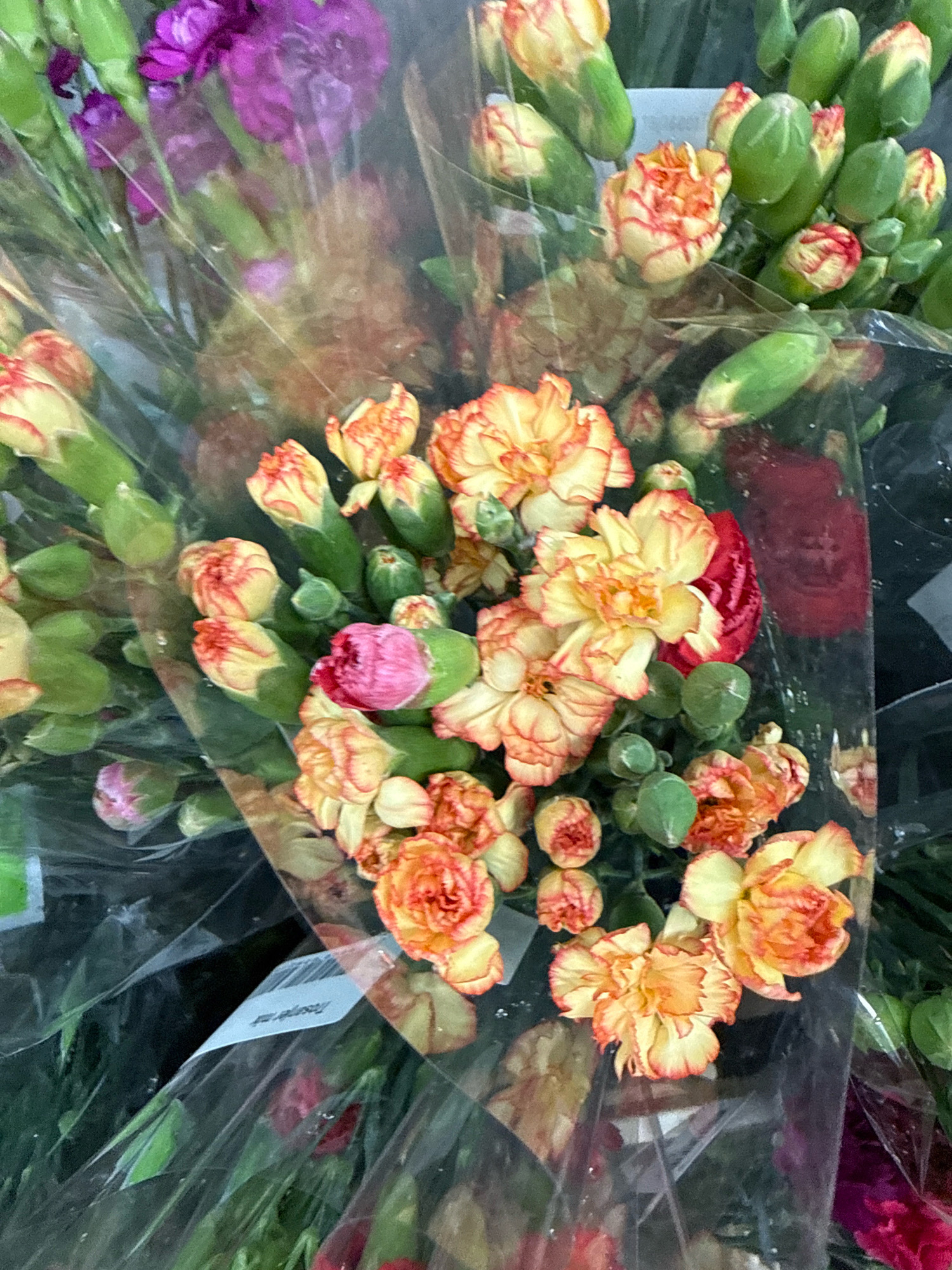 A close-up, overhead shot features a bouquet of carnations. The flowers are a mix of colors, primarily yellow and orange with red-tipped petals, and some are still in bud form with green sepals. A few purple carnations are visible in the upper left corner, and a deep red carnation is present in the center right. The bouquet is wrapped in clear plastic. A white label with a barcode and text, possibly from a store, is partially visible at the bottom center, suggesting the flowers are a retail product. The lighting is bright, illuminating the vibrant colors of the flowers. The scene appears to be indoors, likely in a flower shop or market. There are no people or animals visible in the image. The specific location in Tallinn, Estonia, cannot be determined from the image alone.